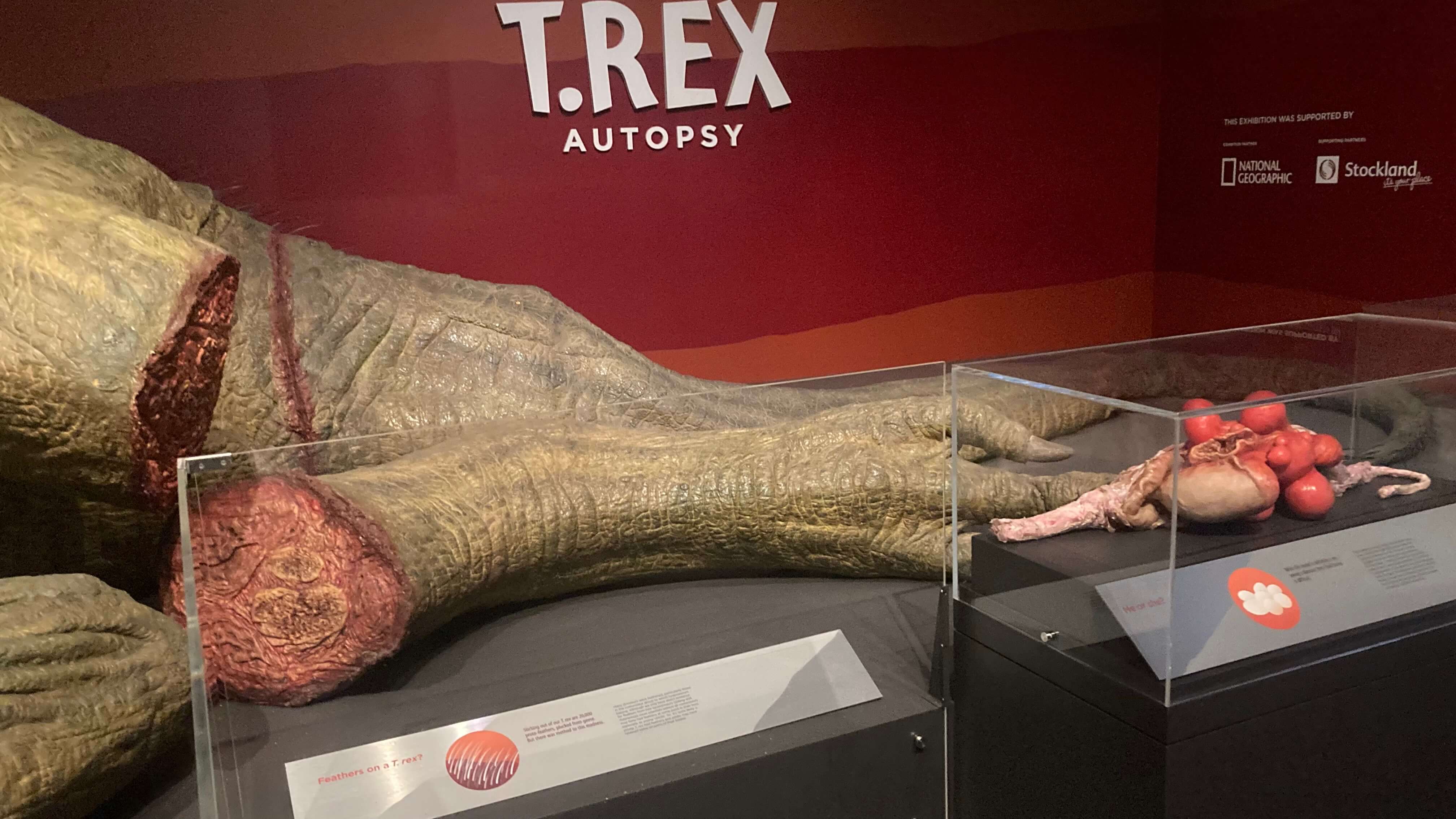 Tyrannosaurus Rex