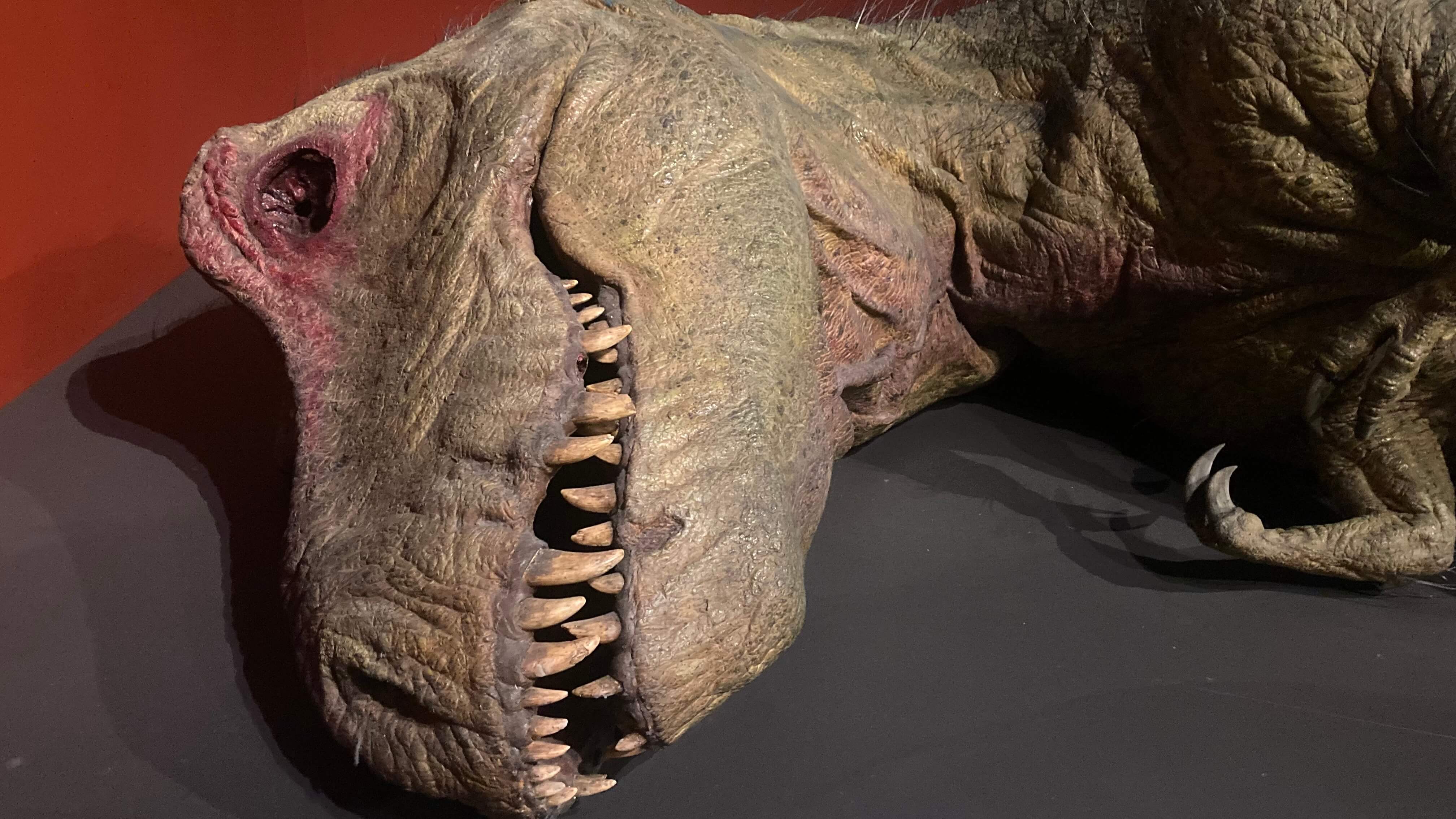 Tyrannosaurus Rex
