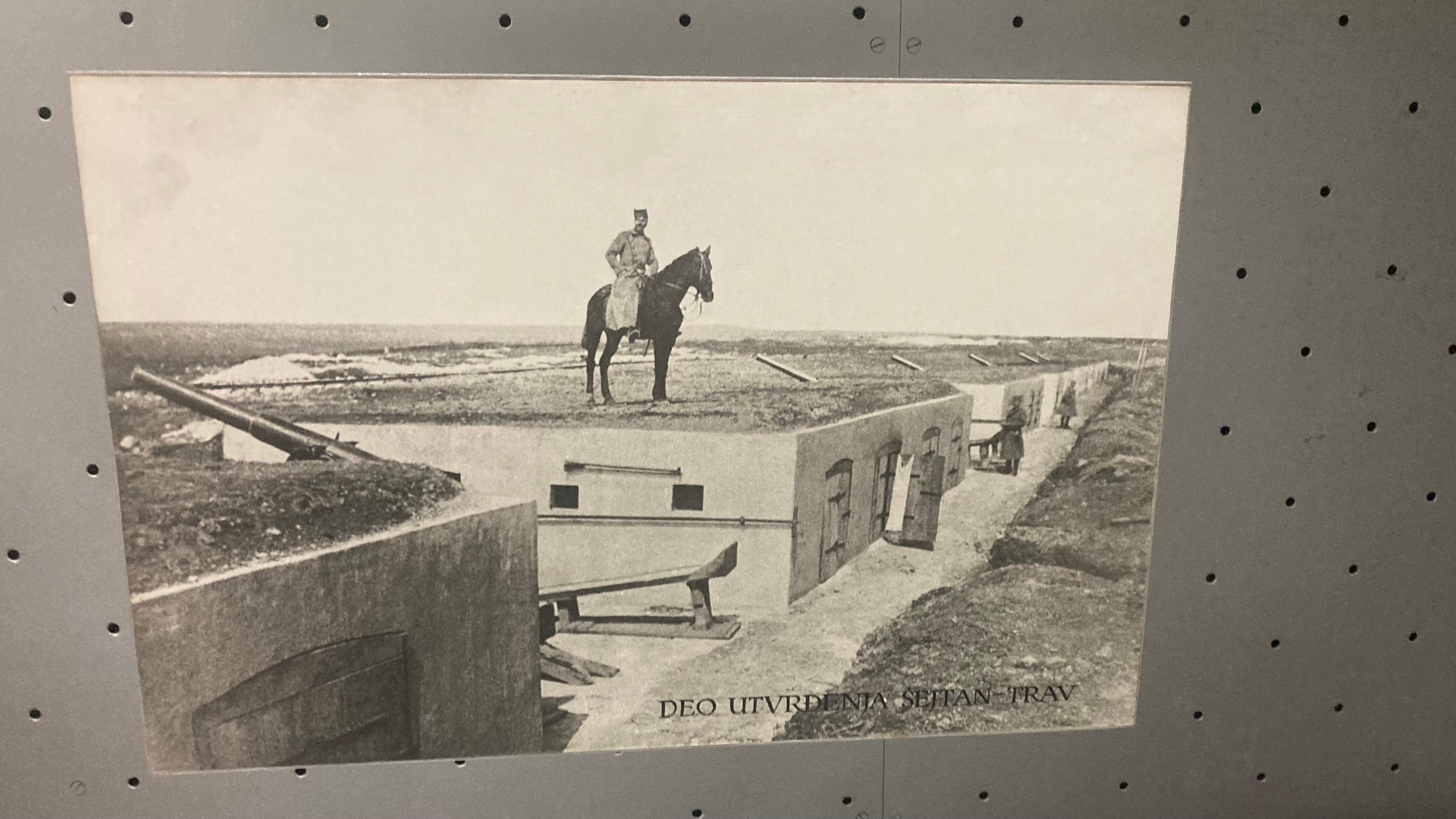 Man and Horse on a Roof