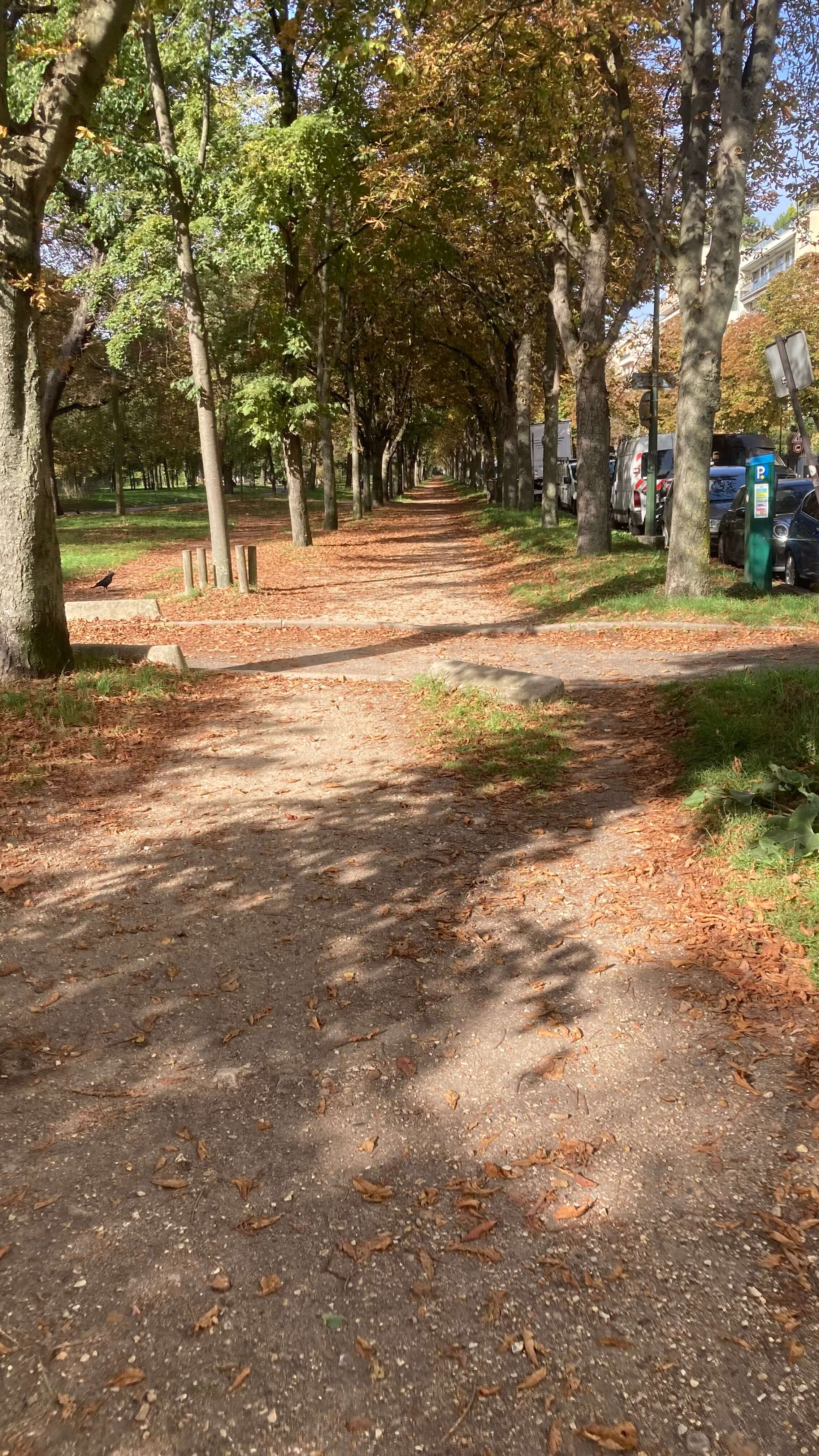 Path