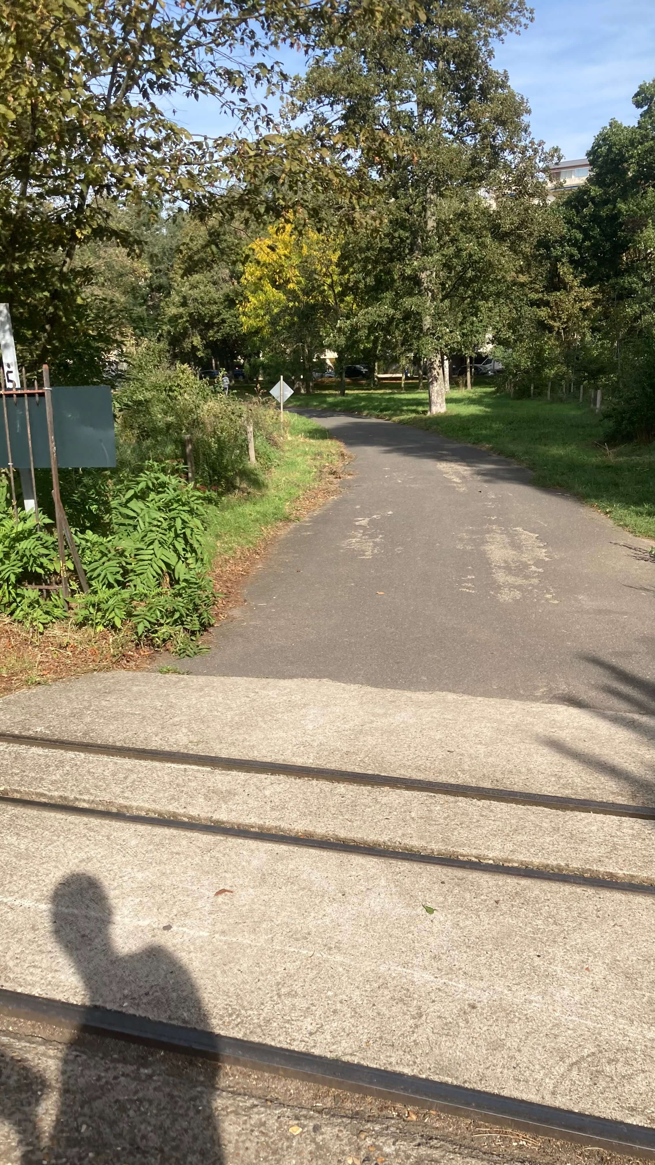 Path
