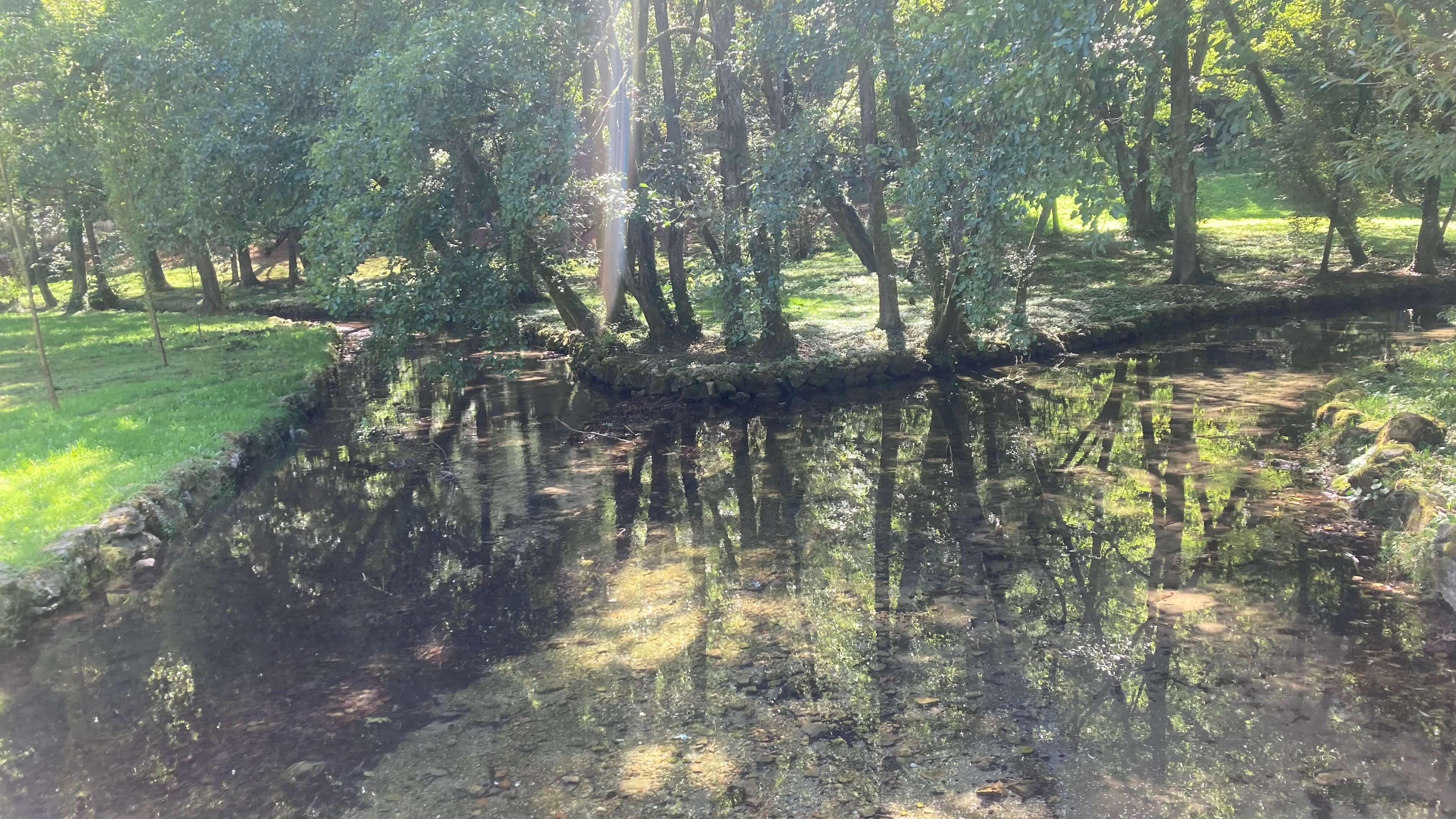 The Spring