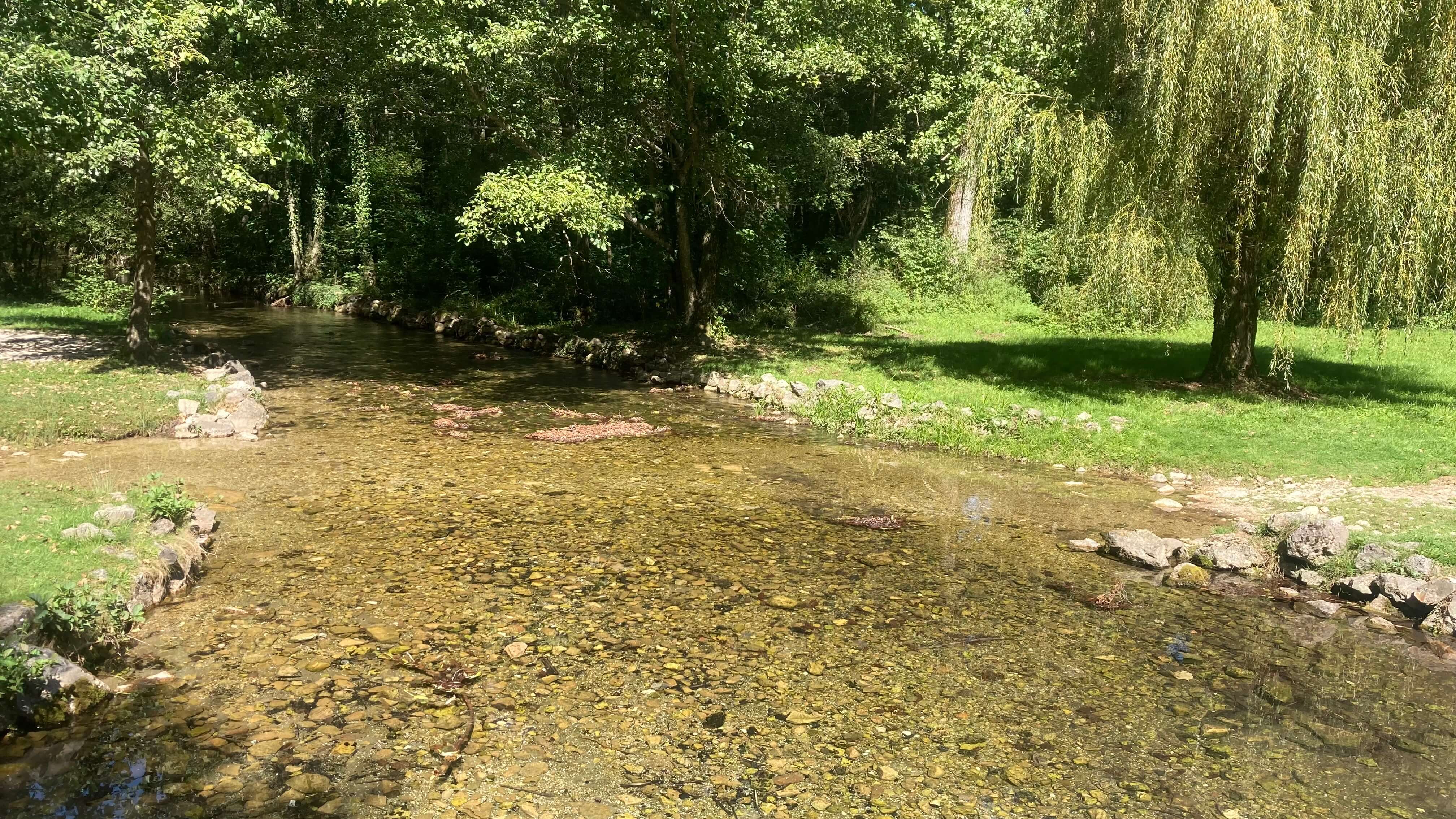 The Spring