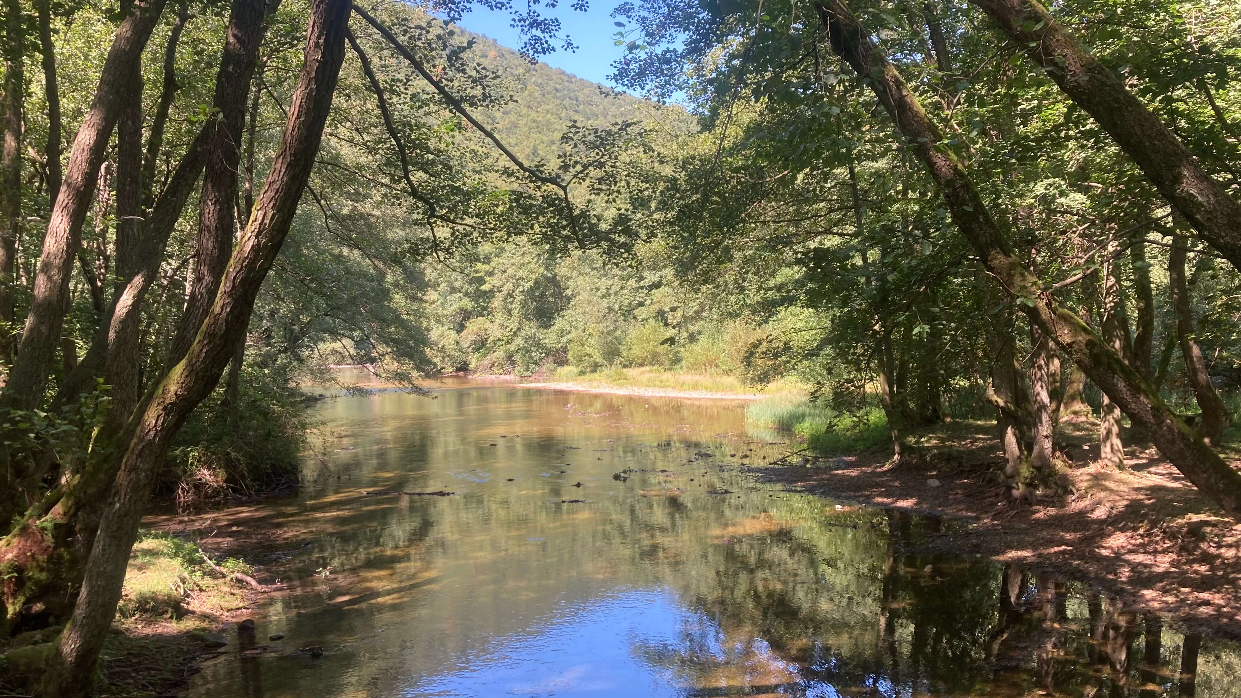 The Spring