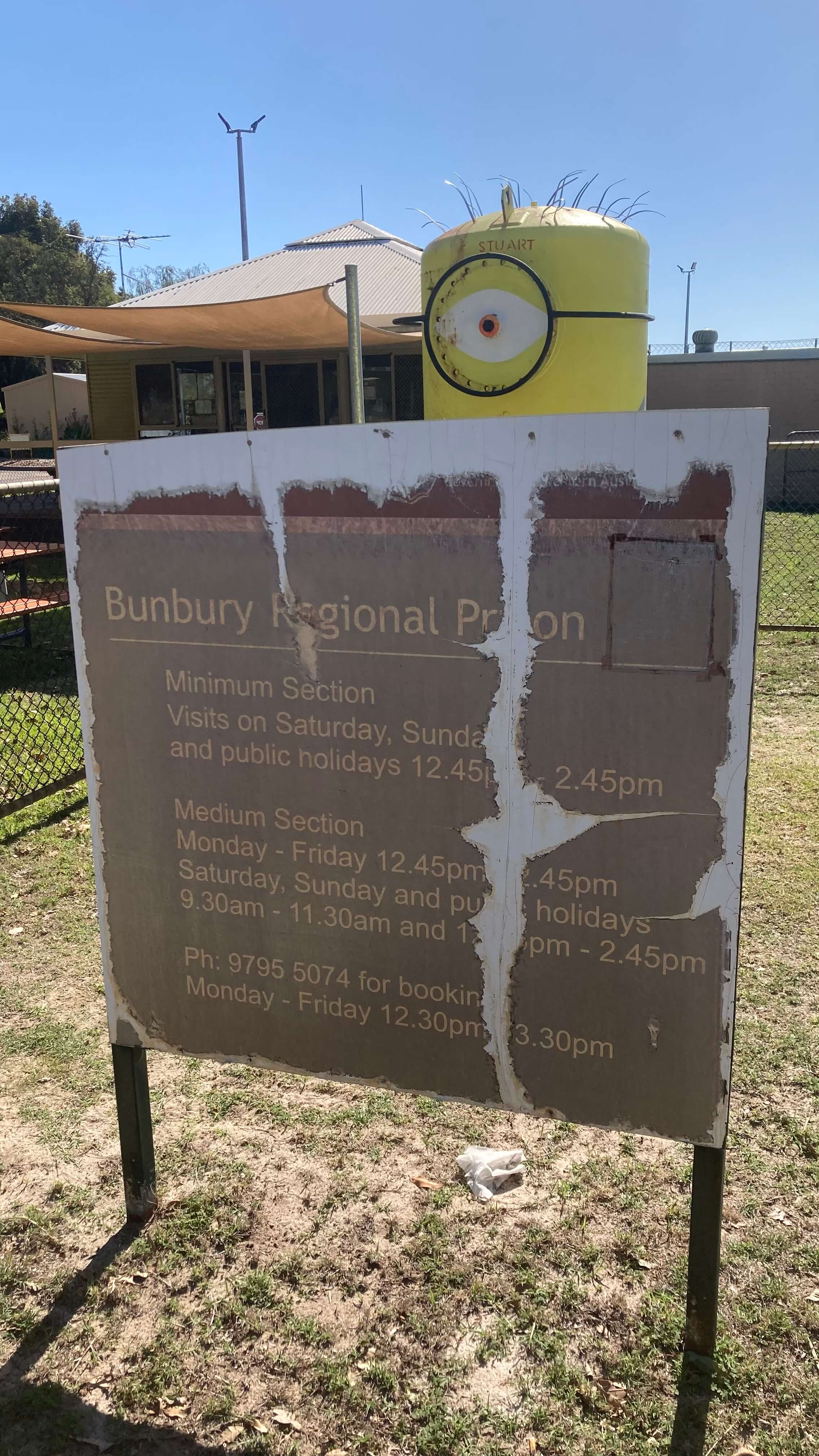 A Giant Minion