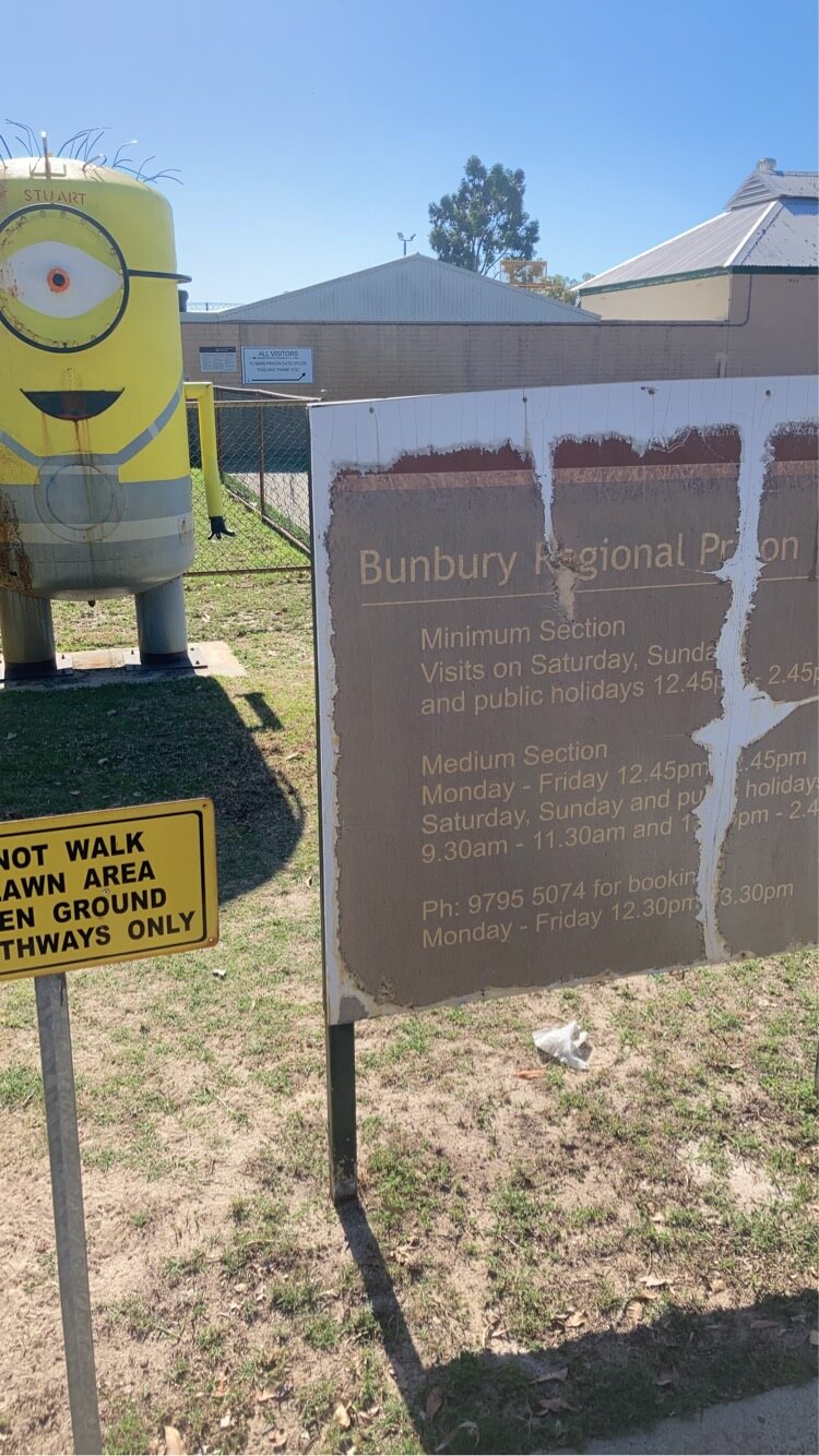 A Giant Minion