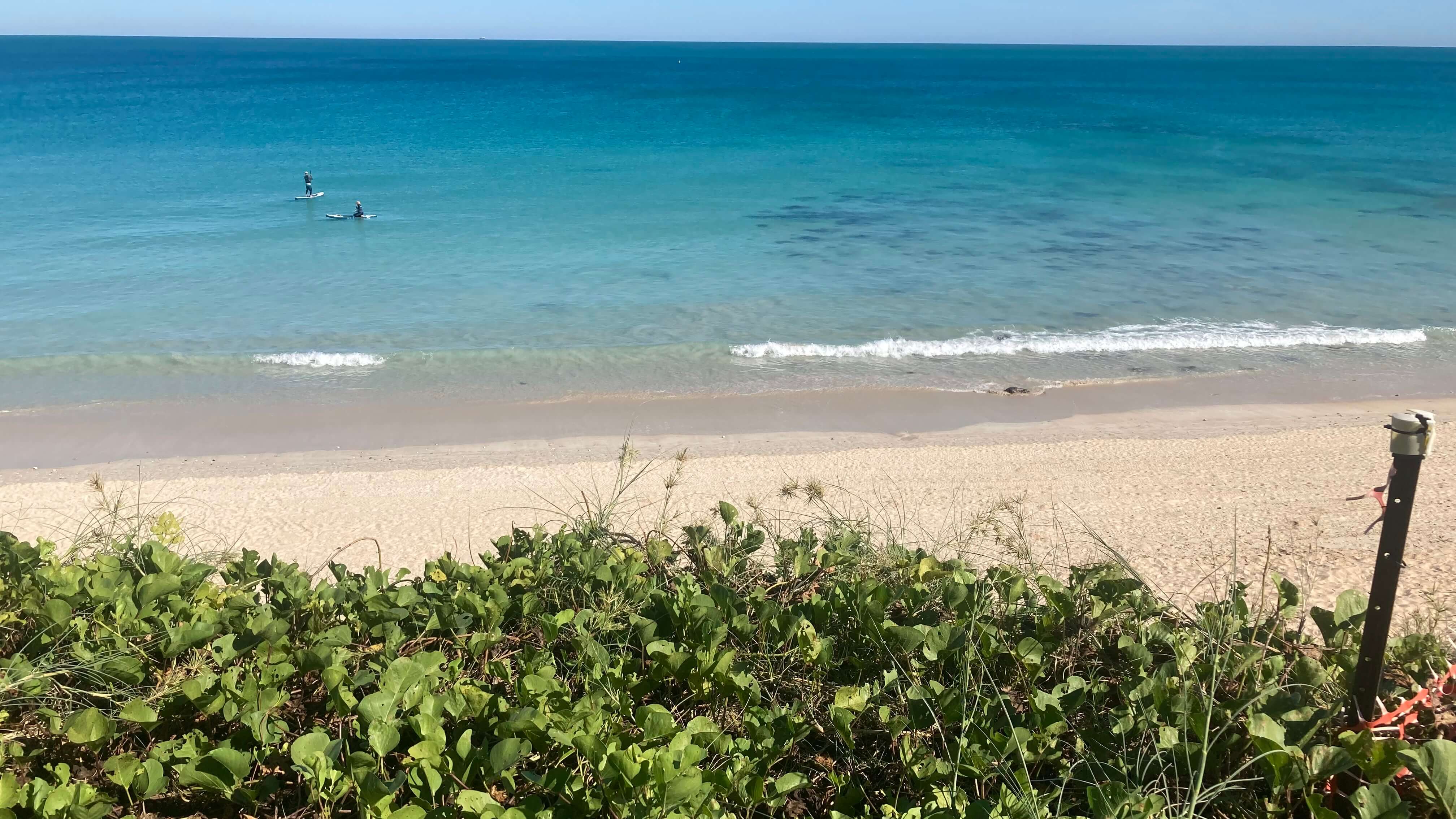 The Beach