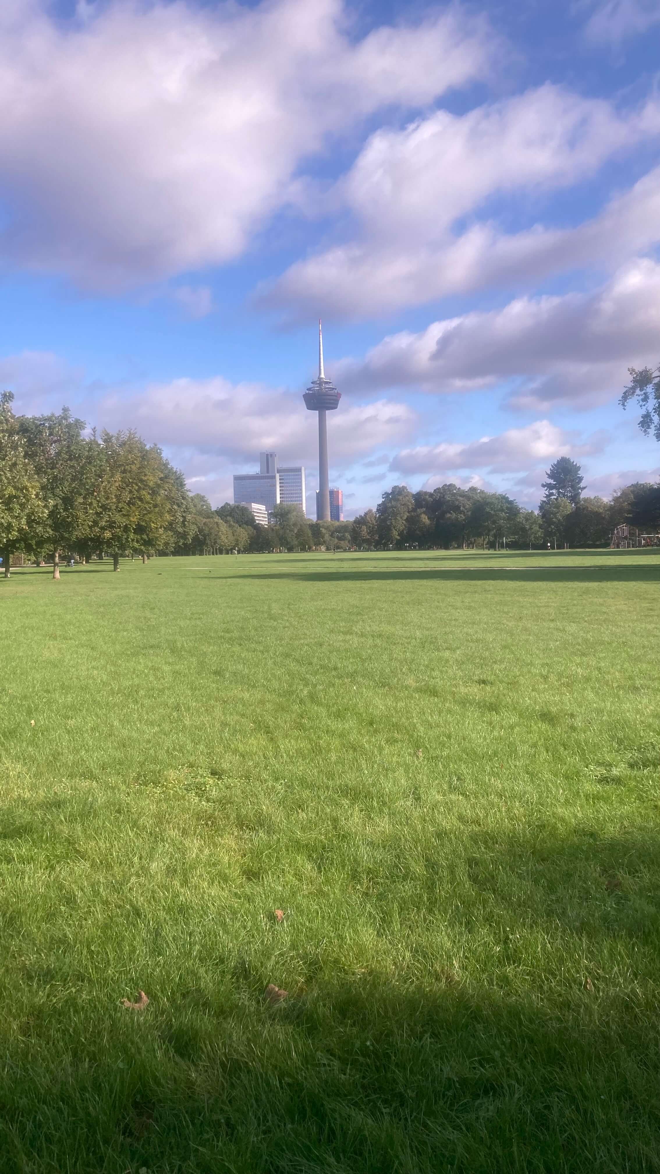 From Afar