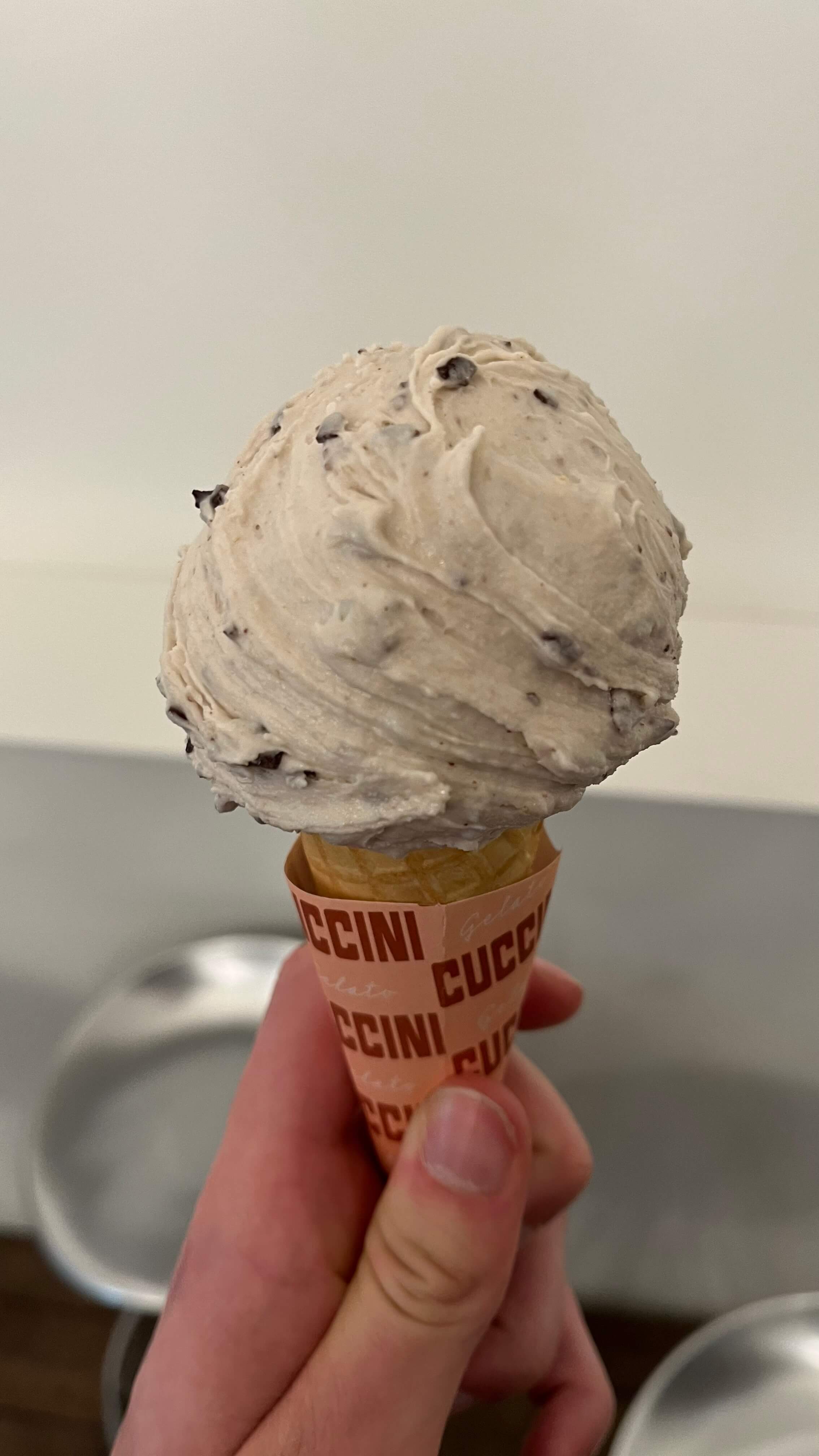 Banana Chocolate Chip