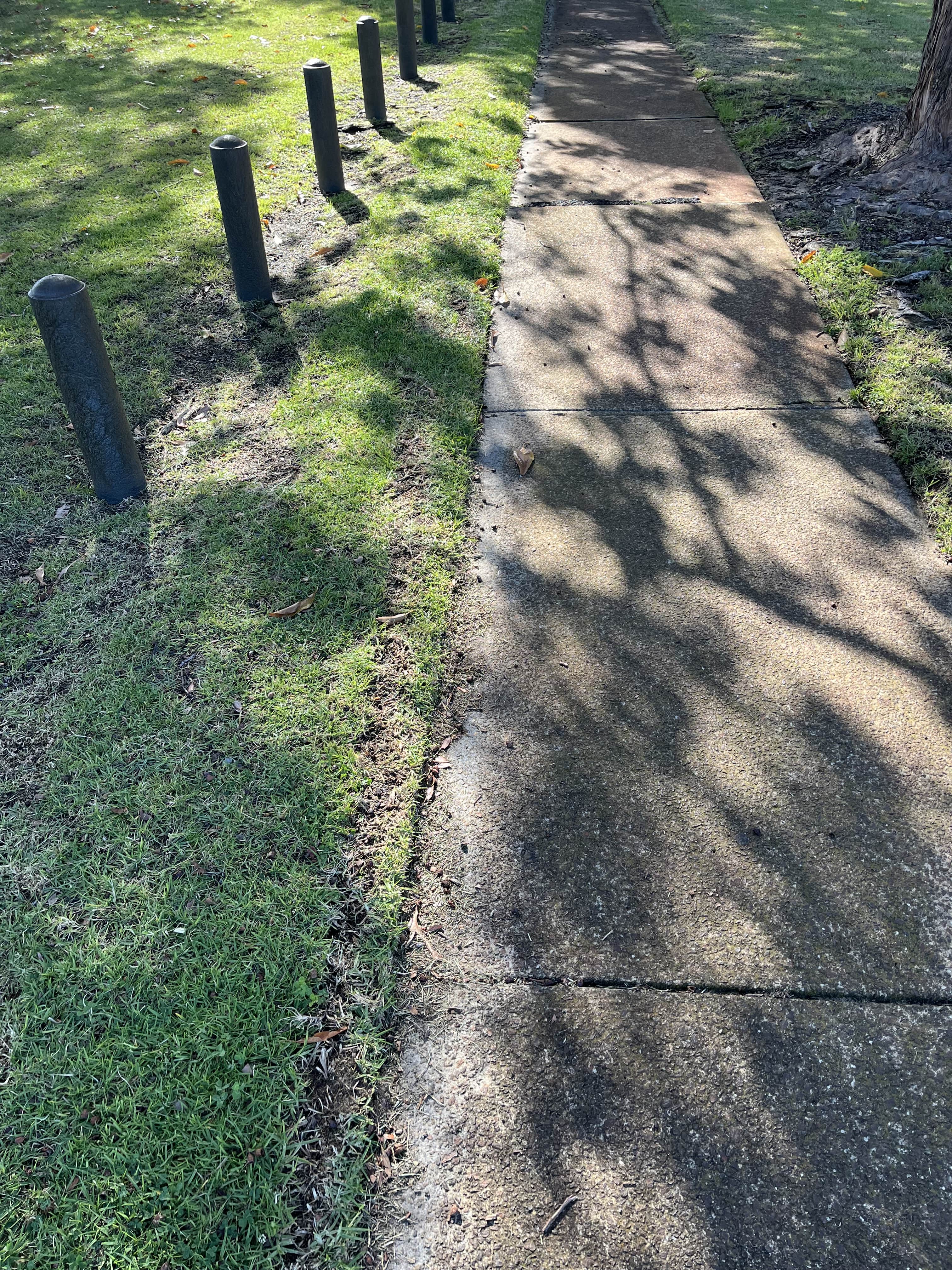 Footpath with Recently Cut Grass