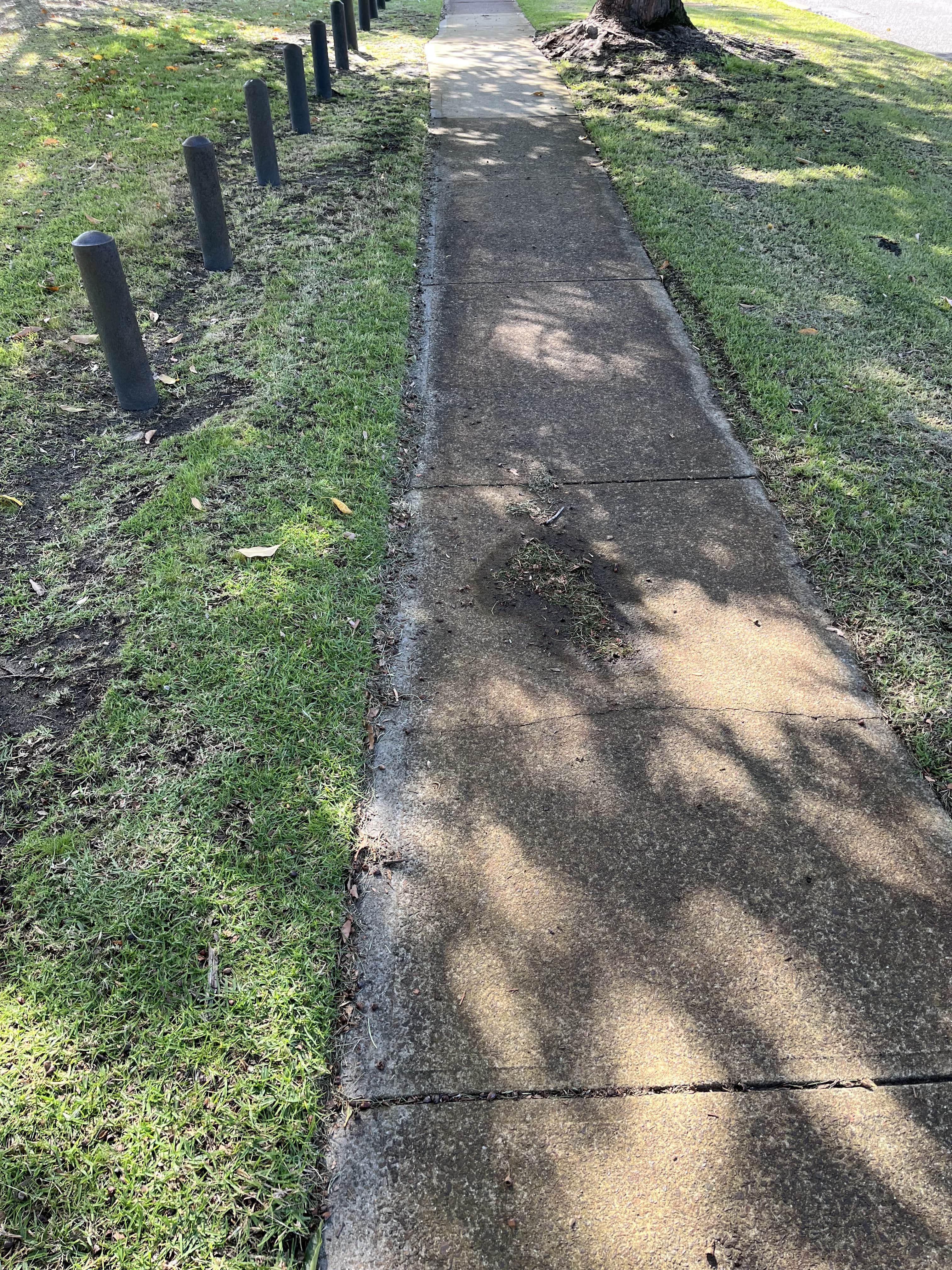 Footpath with Recently Cut Grass