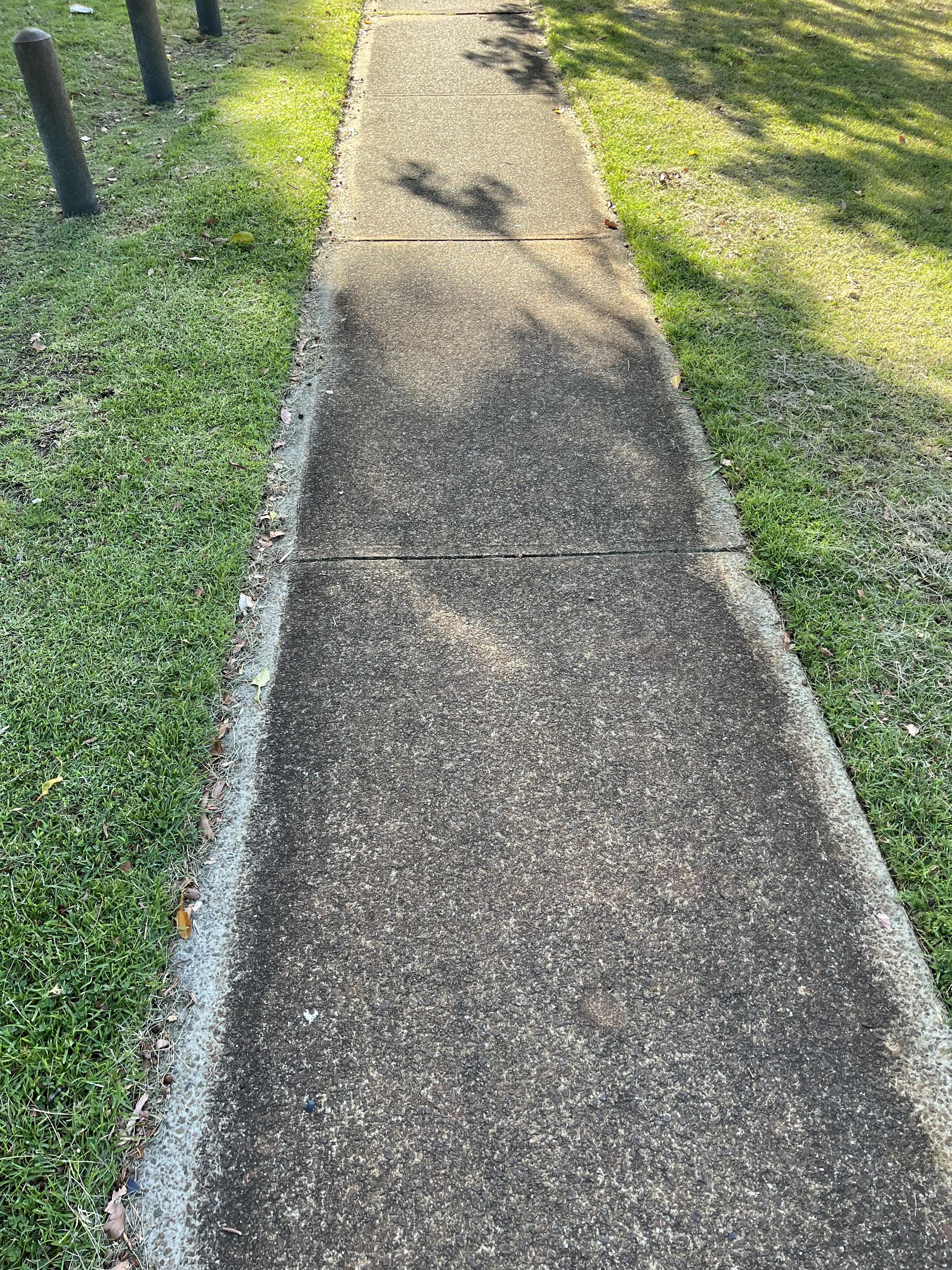 Footpath with Recently Cut Grass