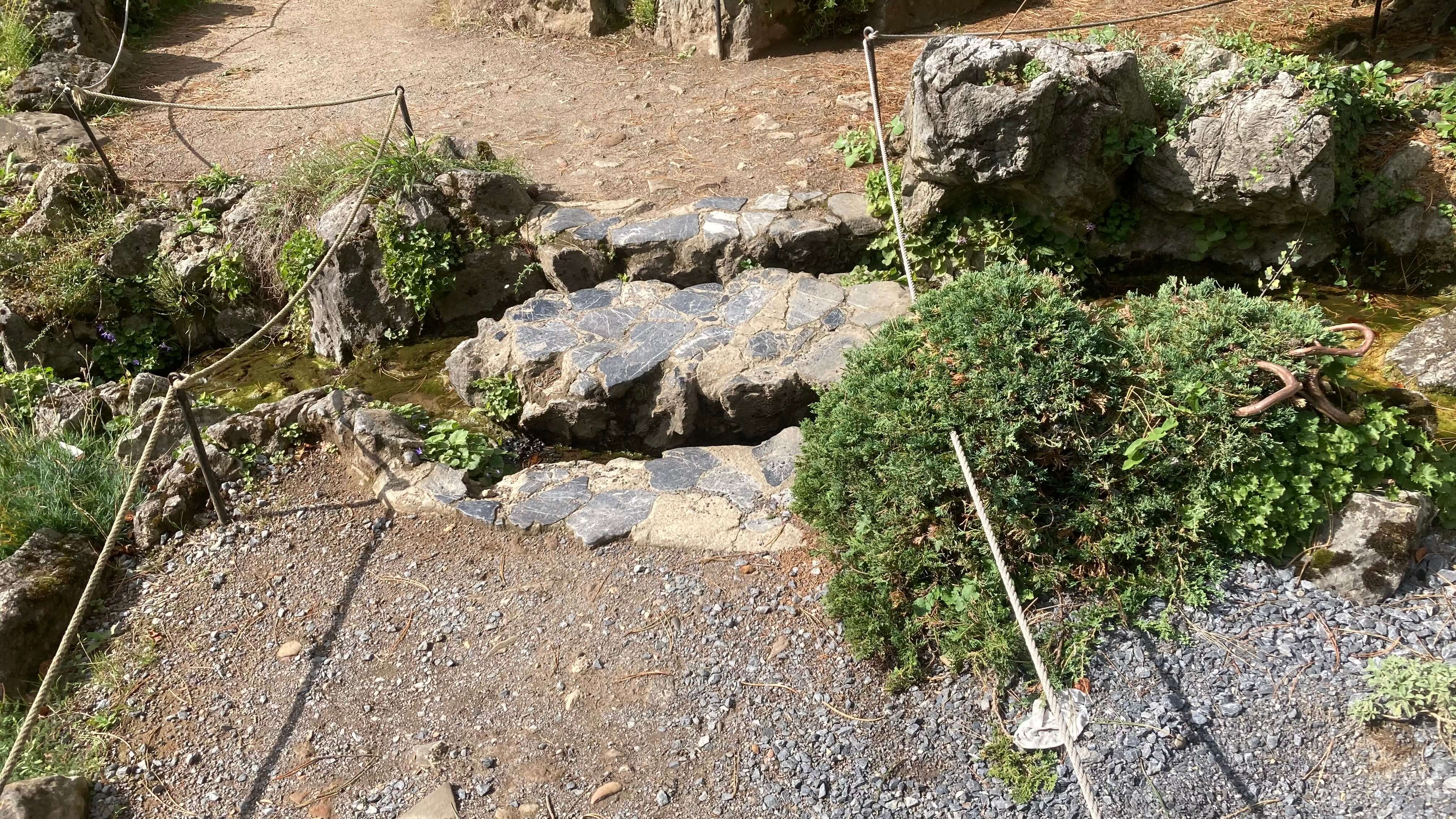 A Crossing