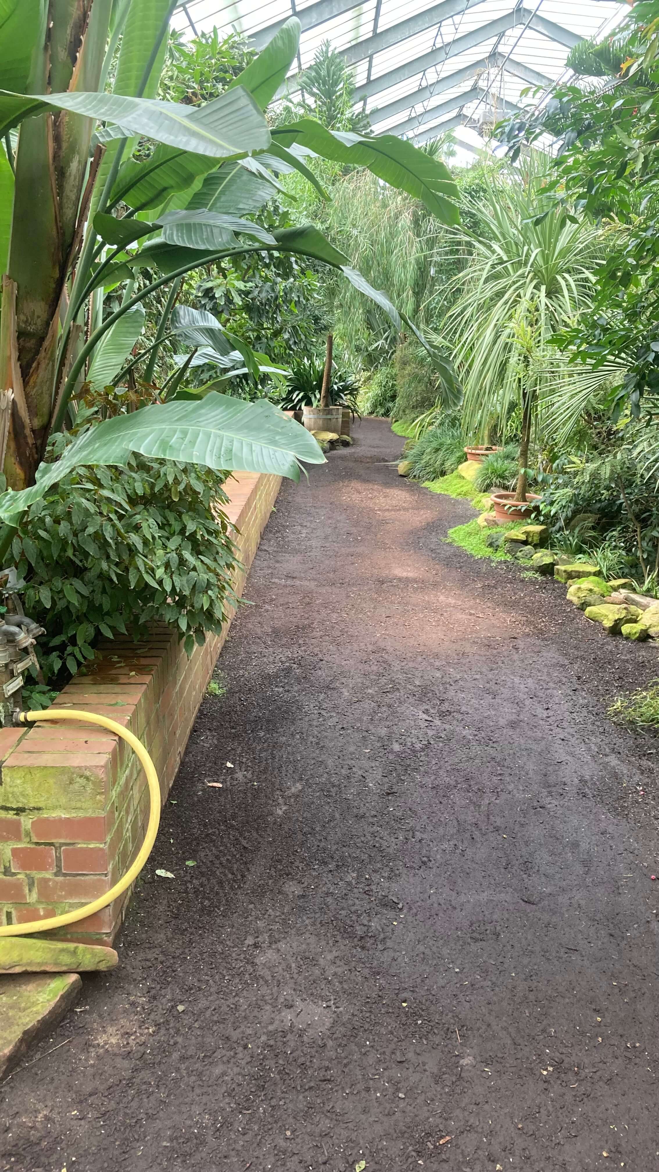 Inside the Greenhouse