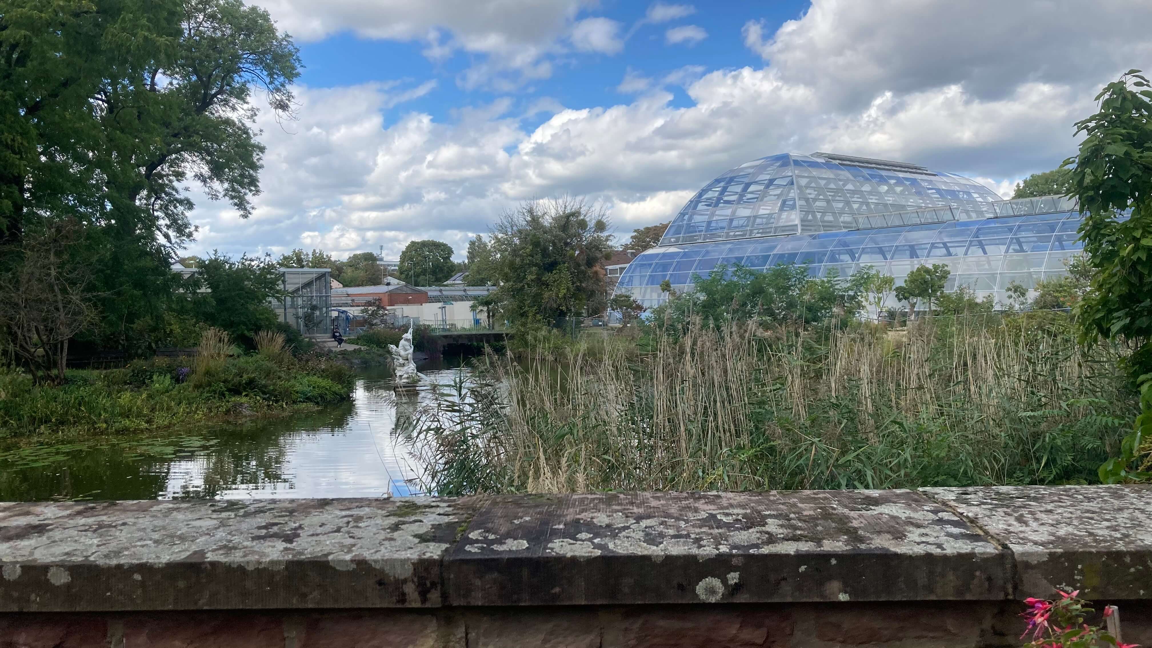 A Pond