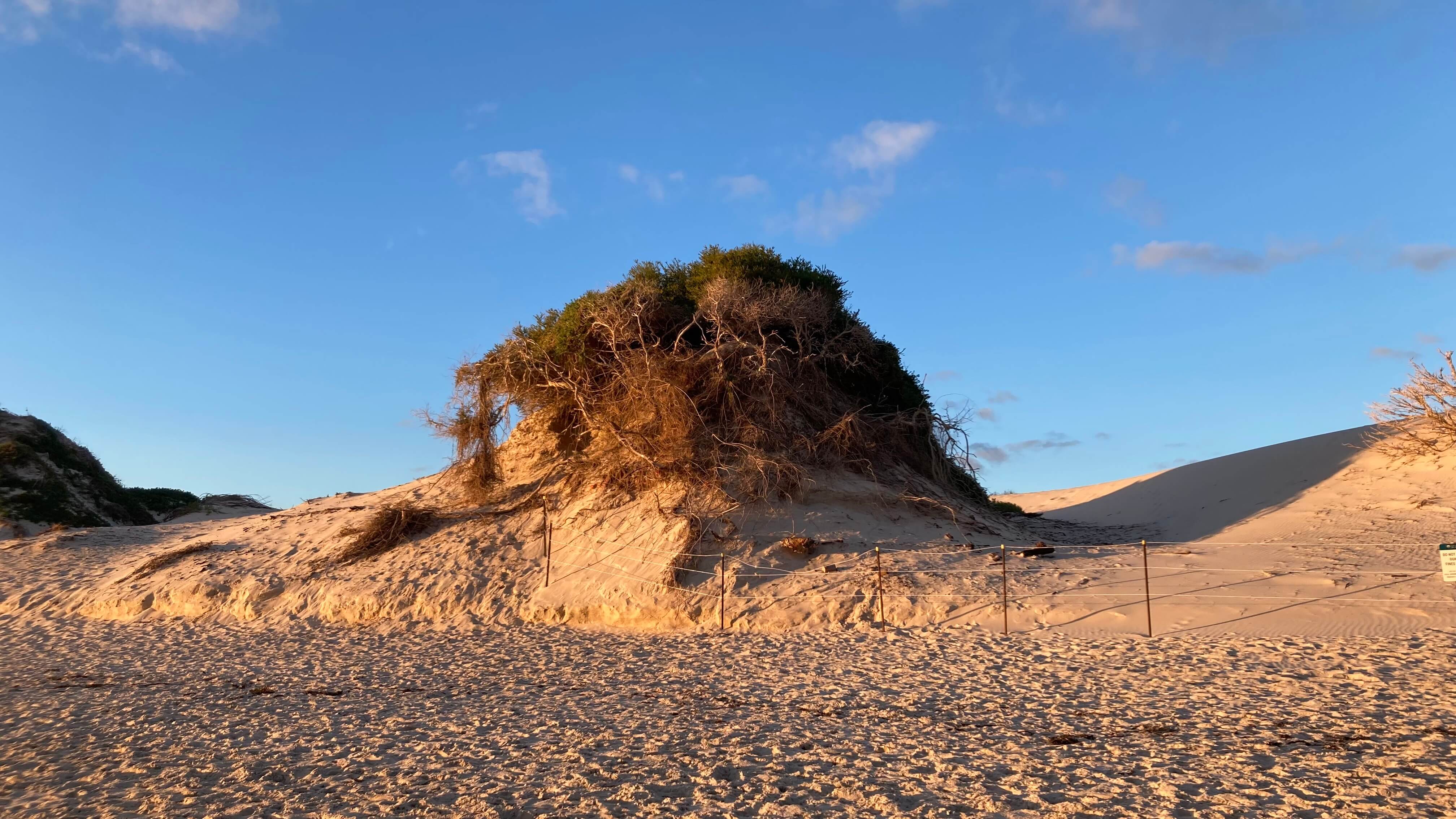 The Lone Sand Dune