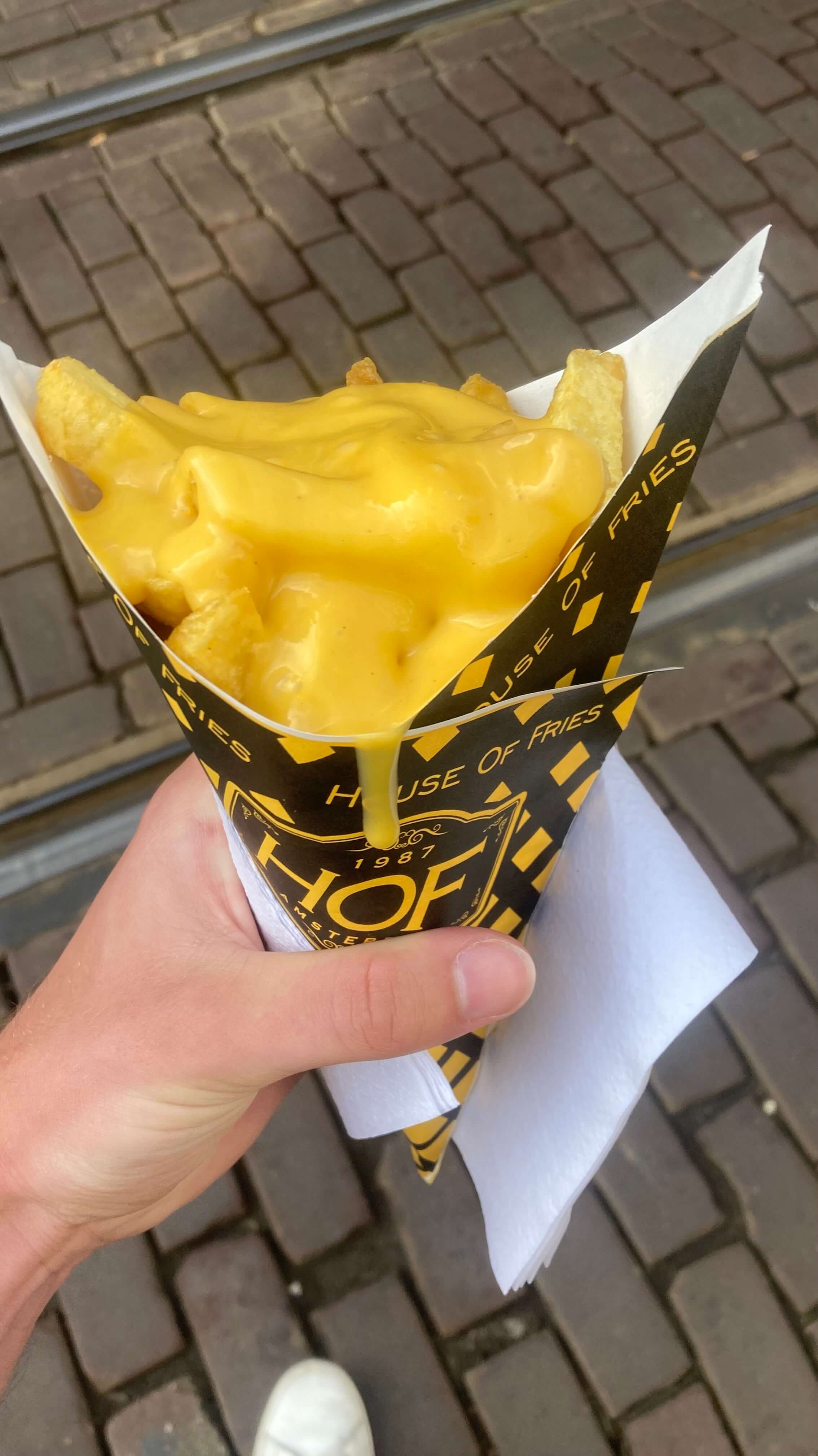 Fries Cup
