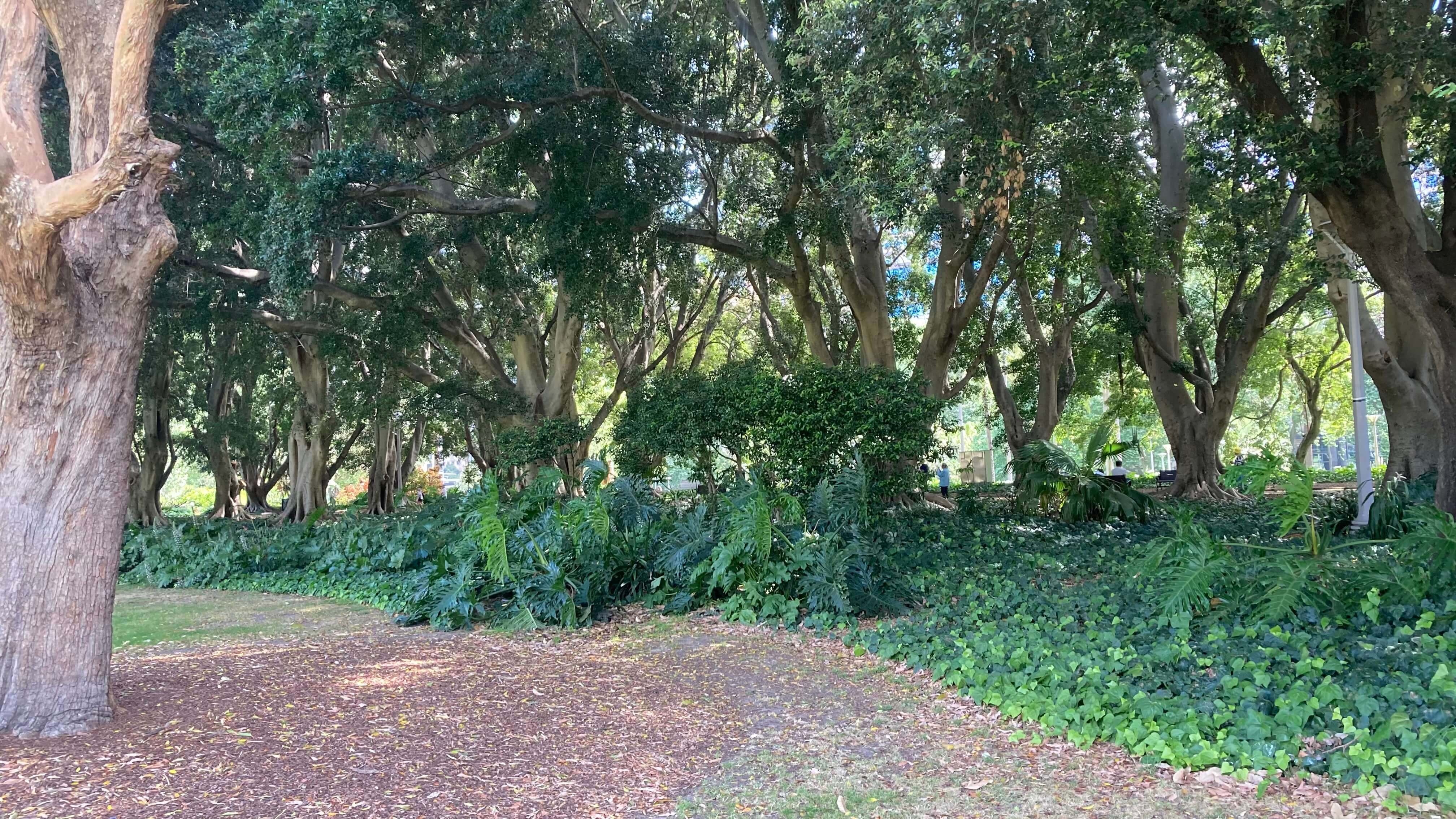 Greenery