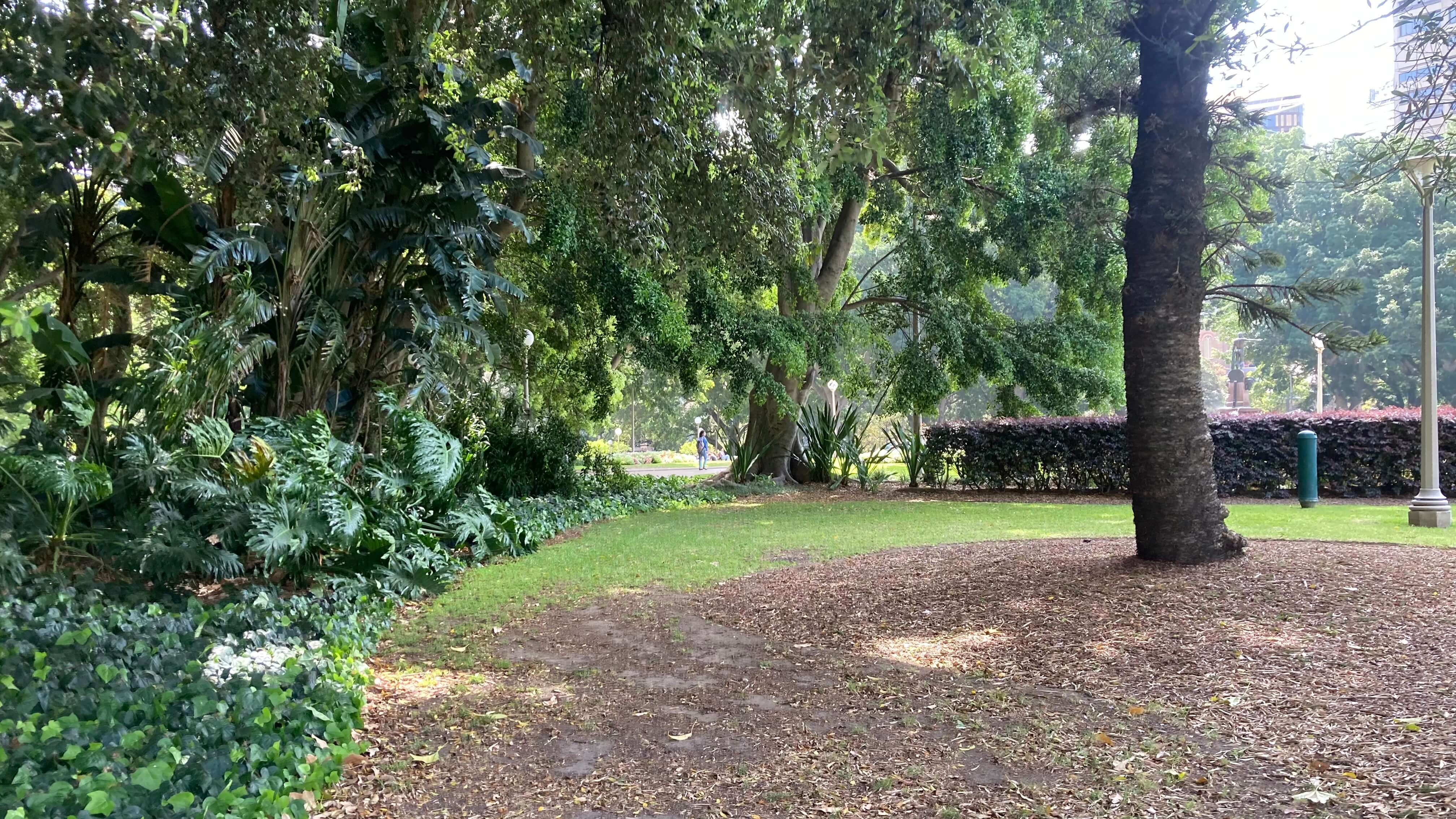 Greenery