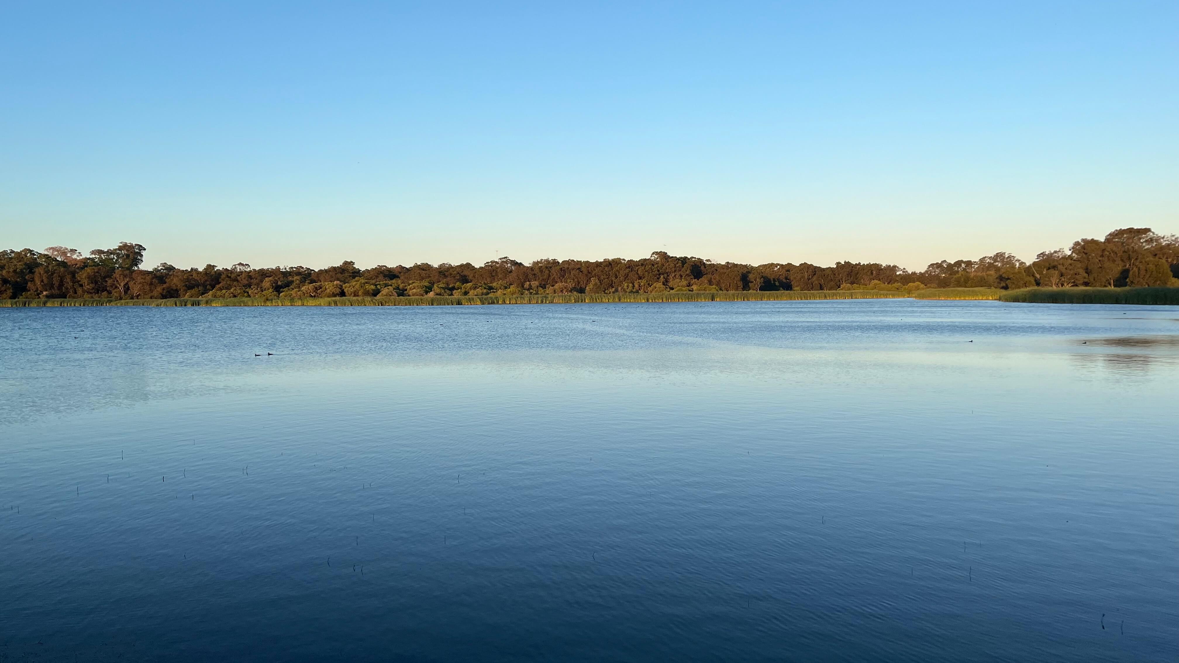 The Lake