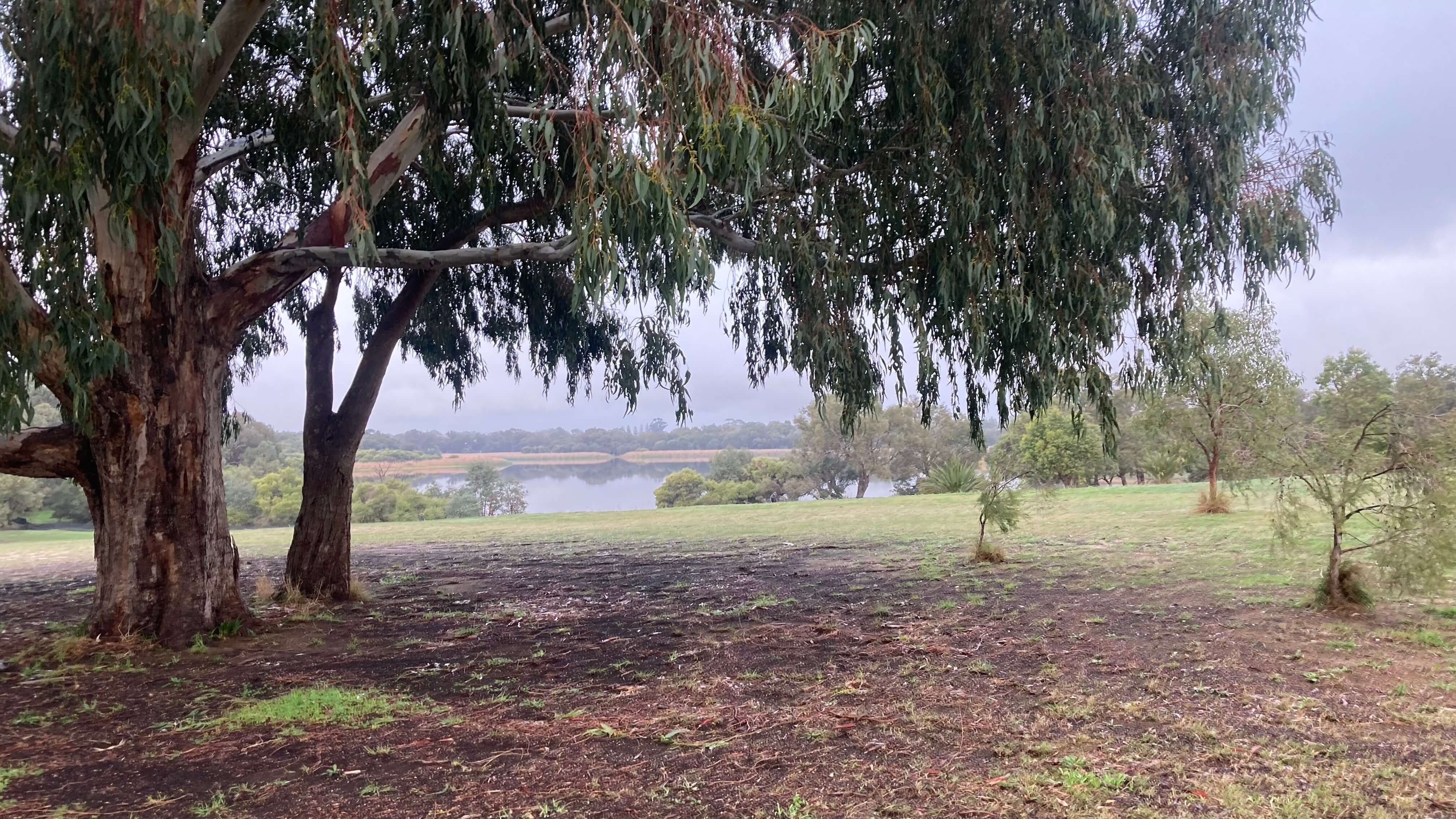 From the Hilltop