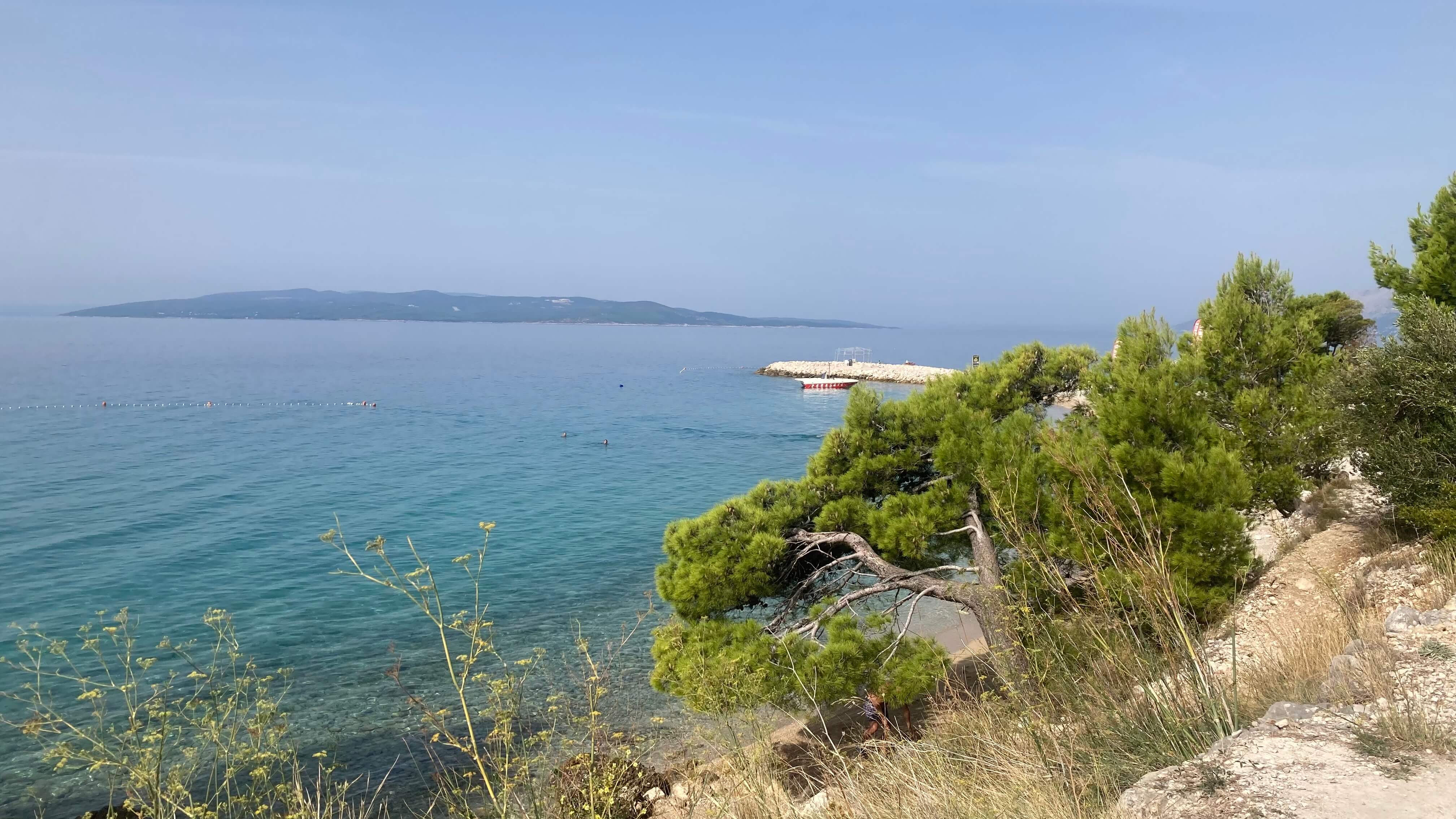 The Coast