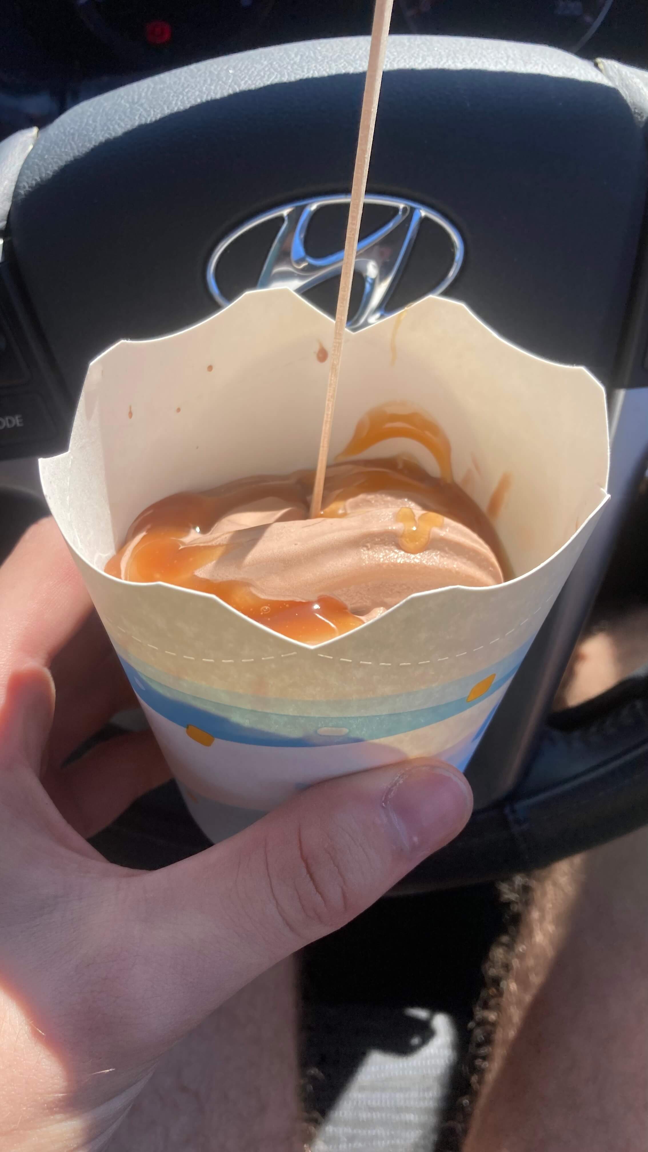 Chocolate Caramel McFlurry