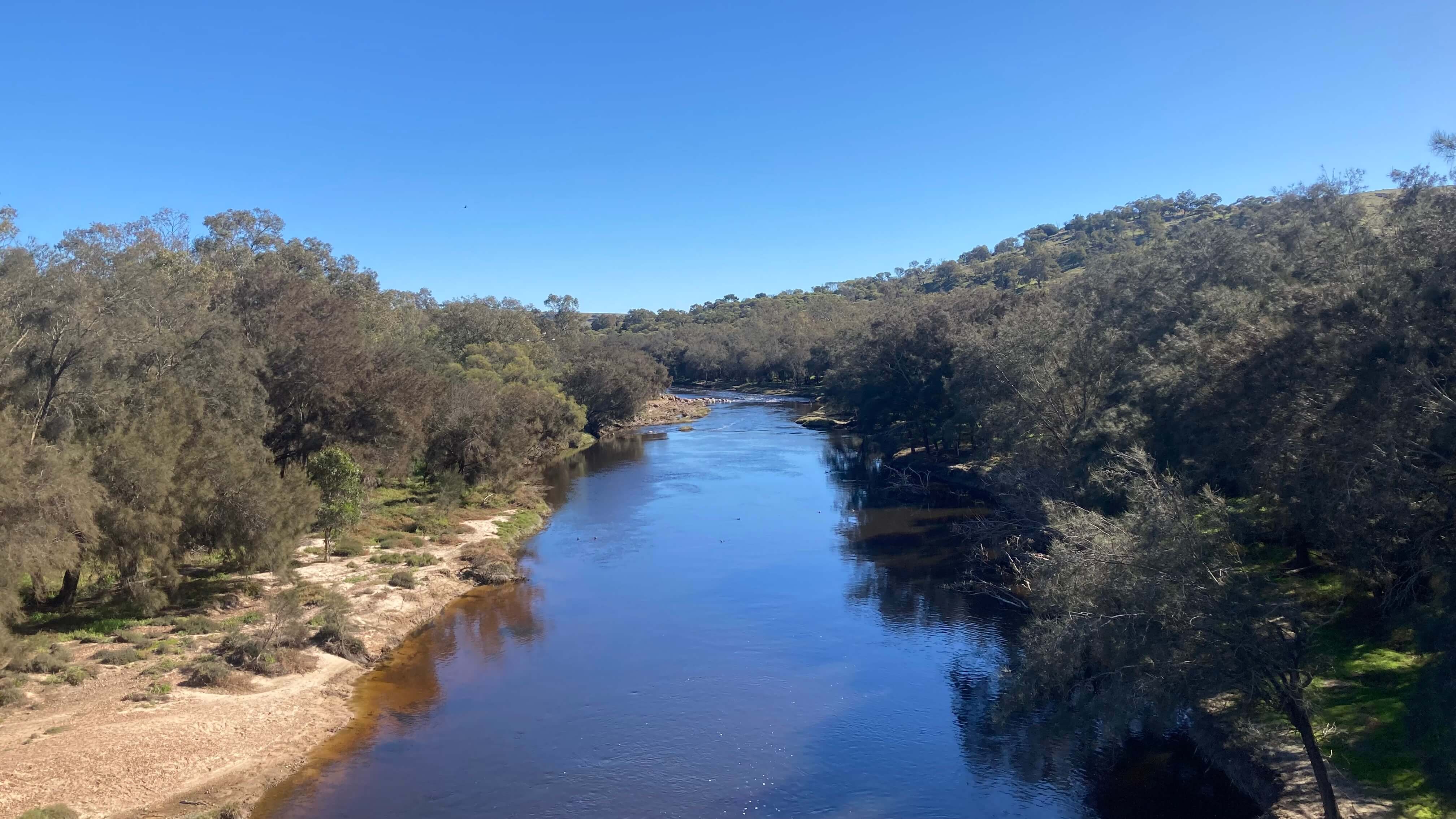 The River