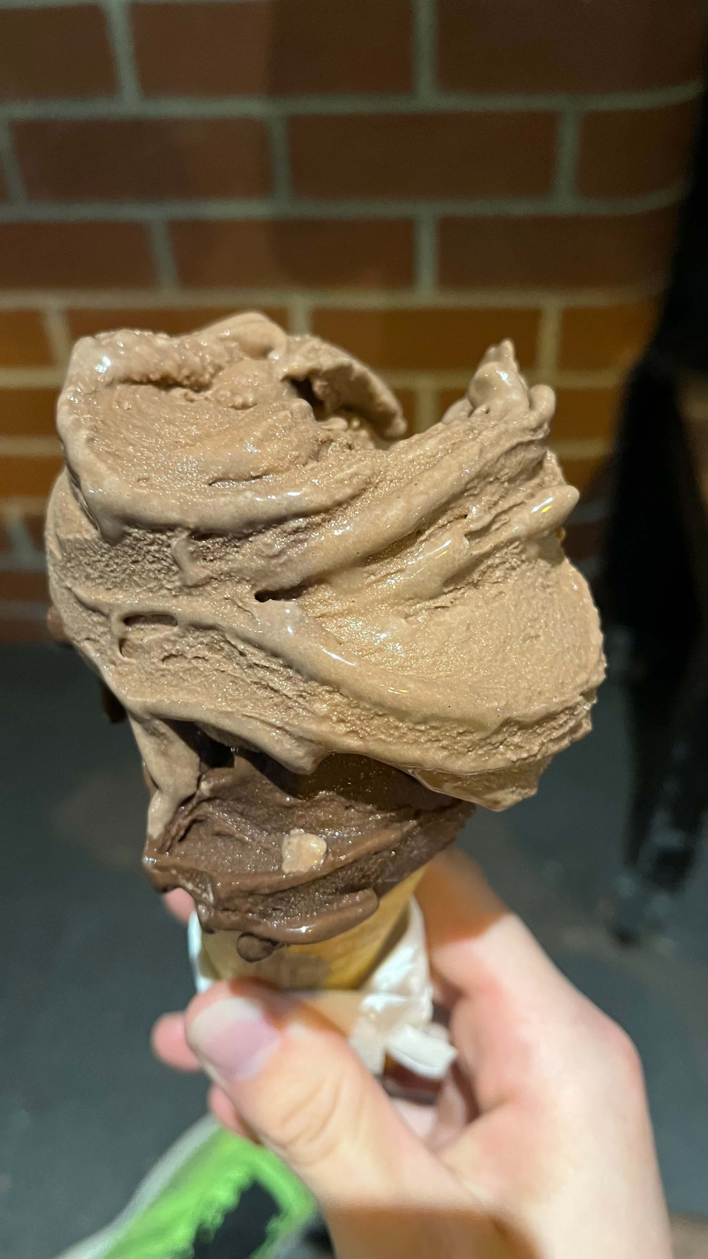 Chocolate Ice Cream, Hazelnut Ice Cream