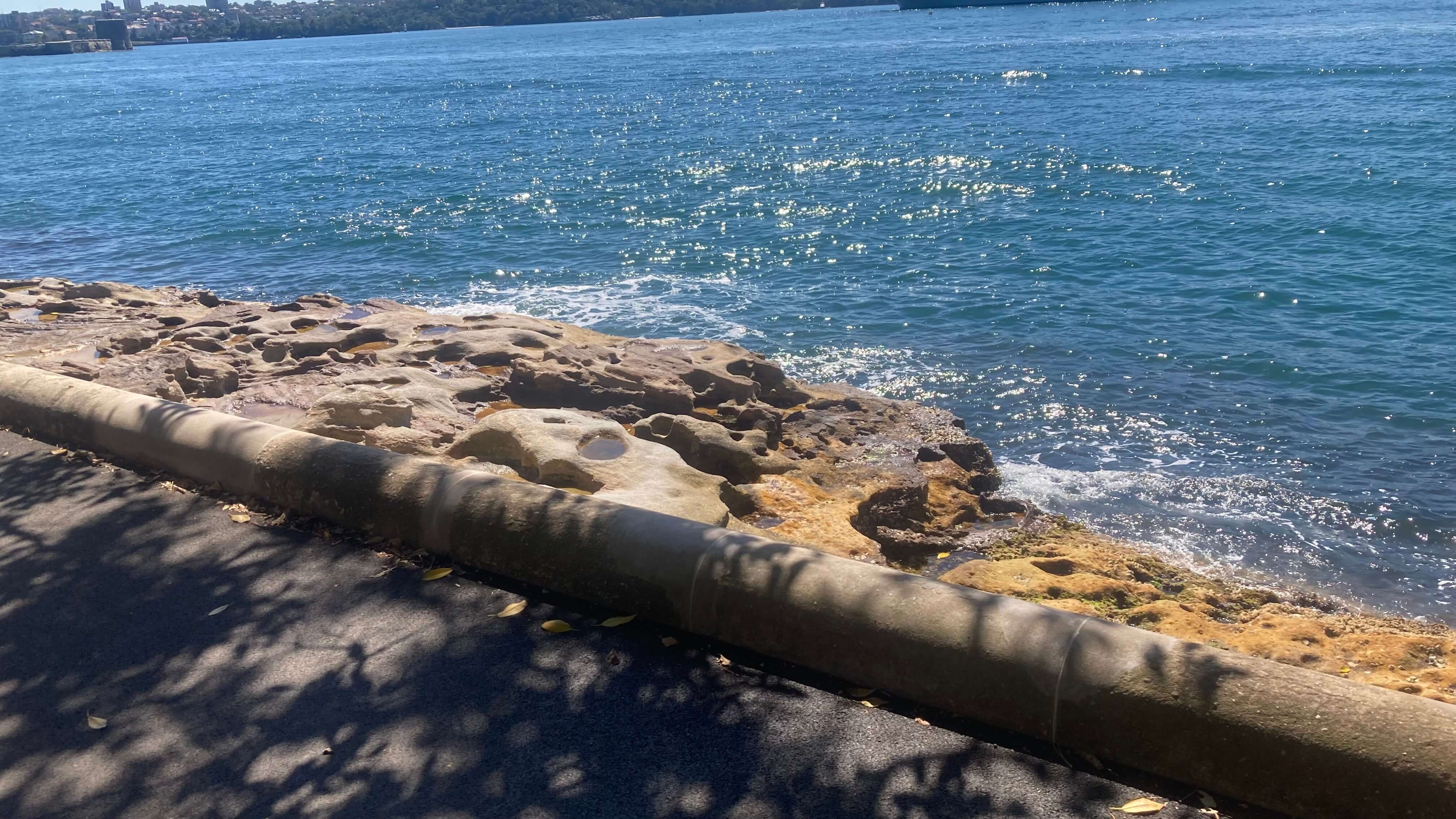 Water's Edge