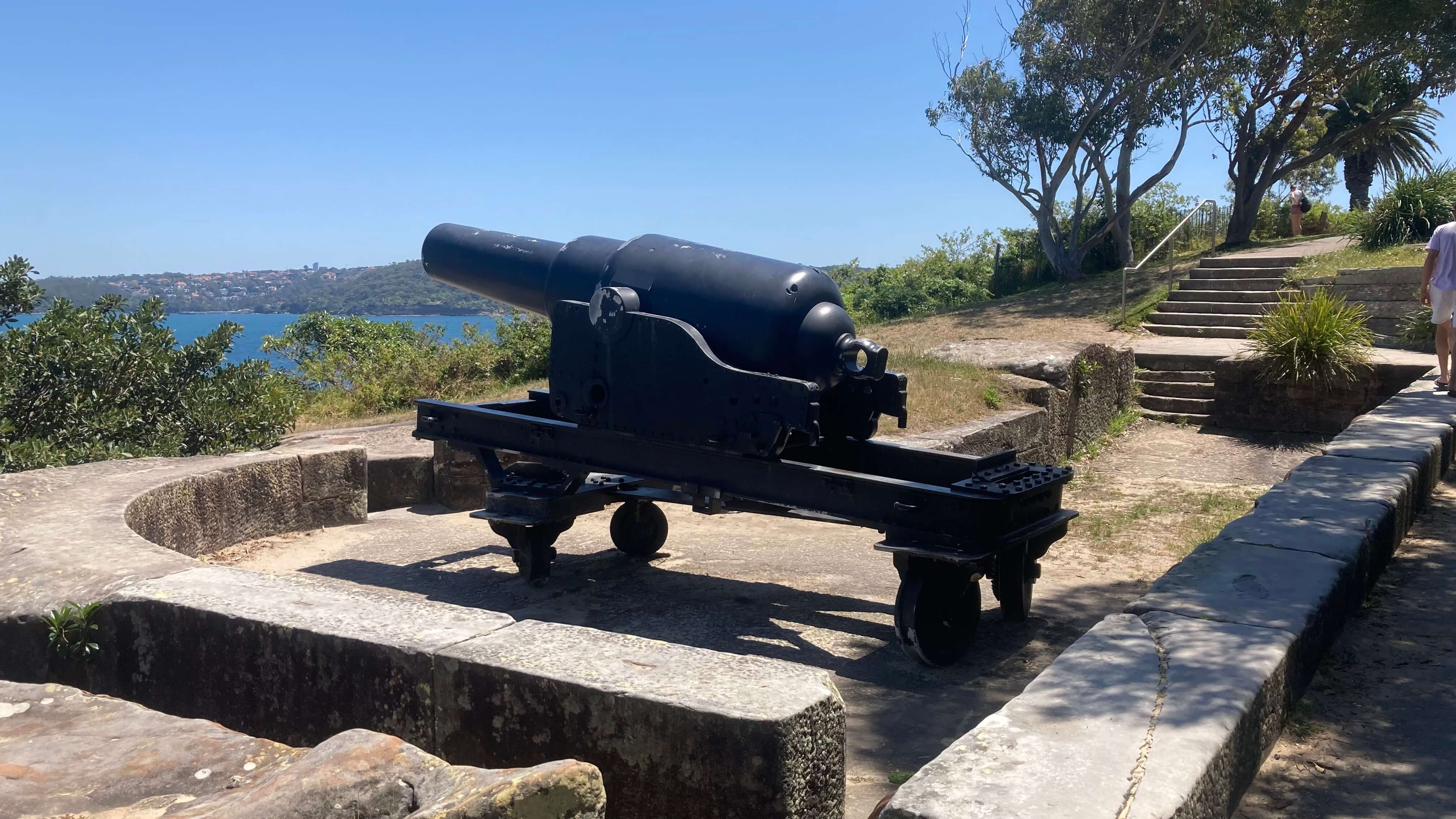 Cannon