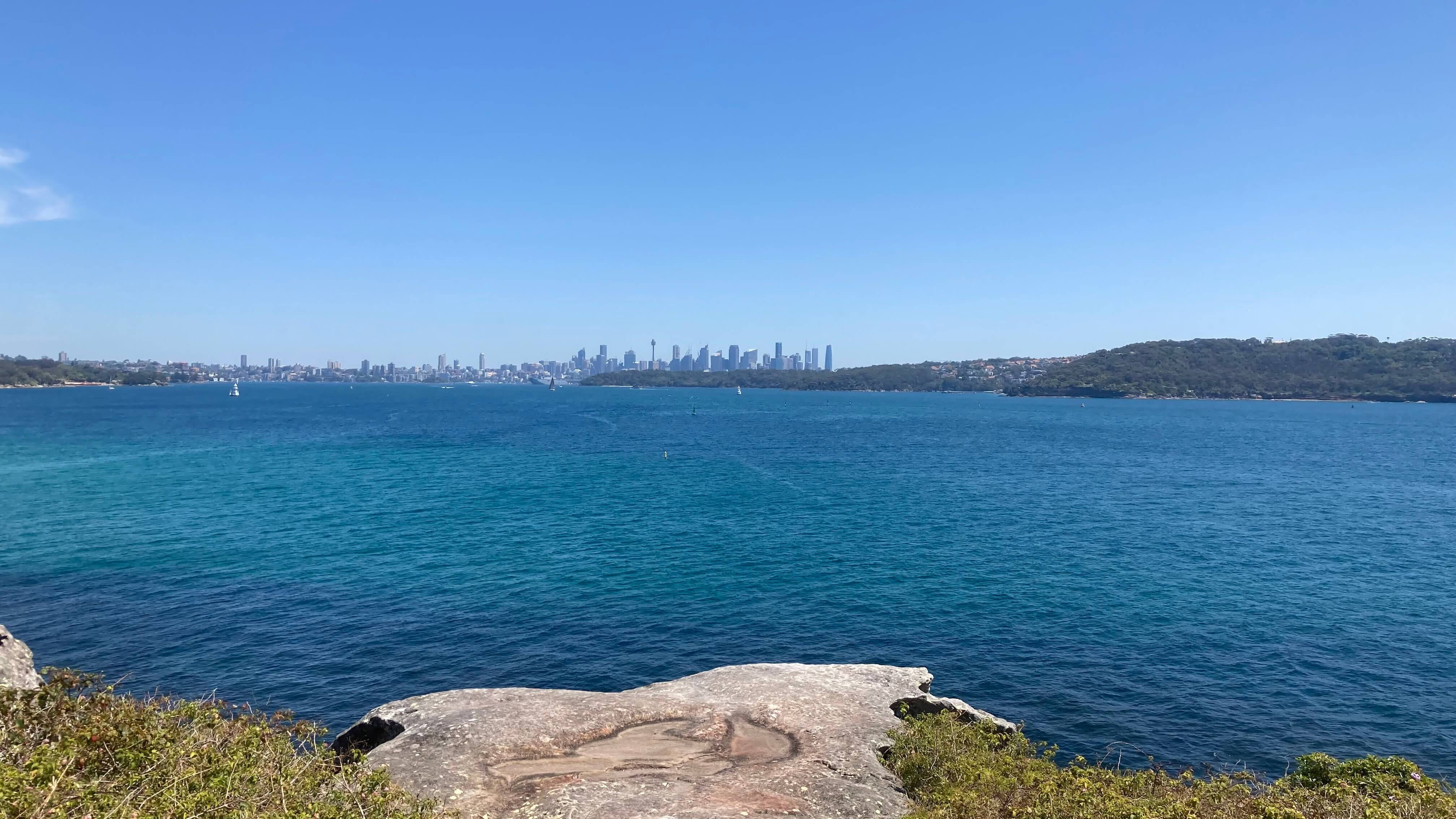 View of the City