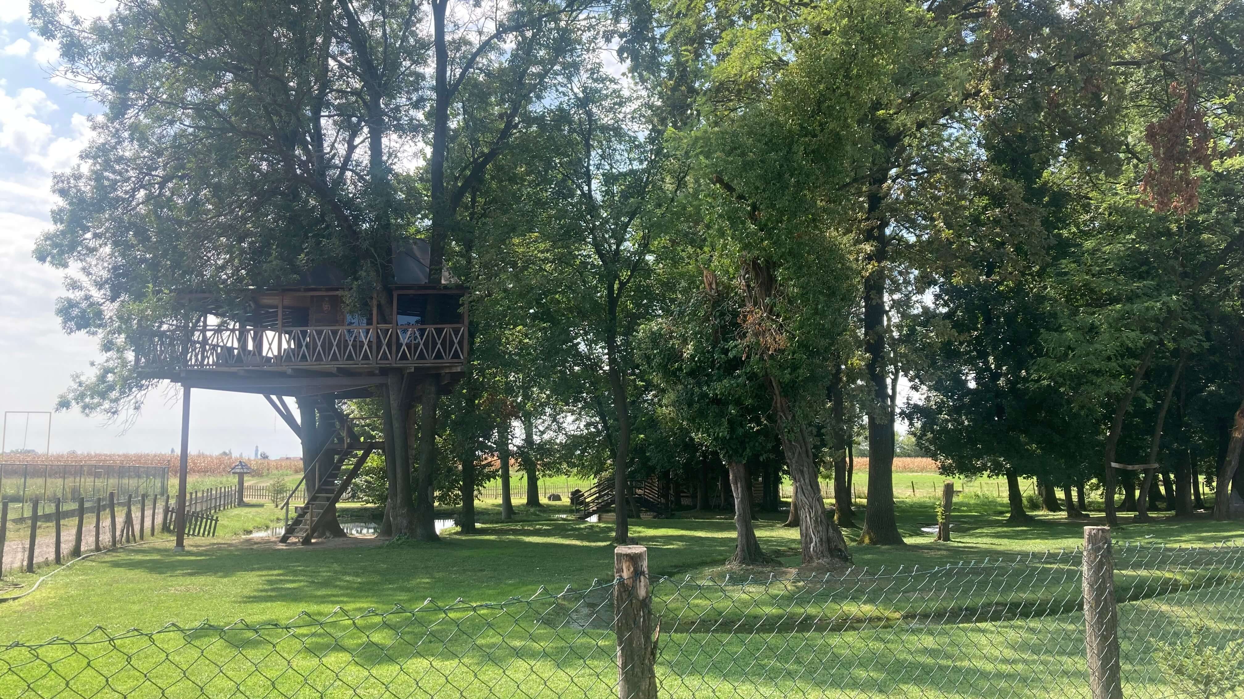 A Treehouse