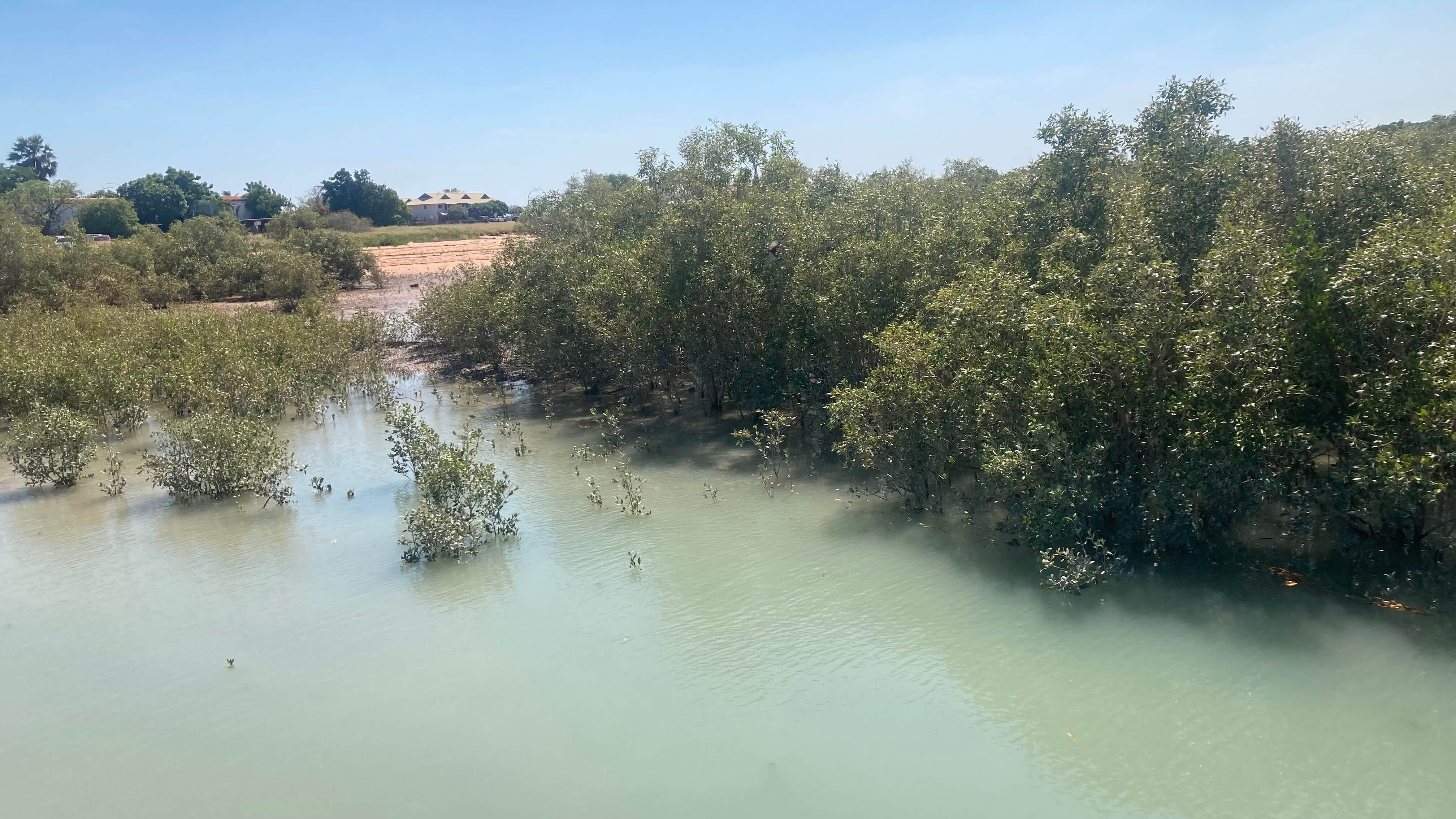 The Marshland