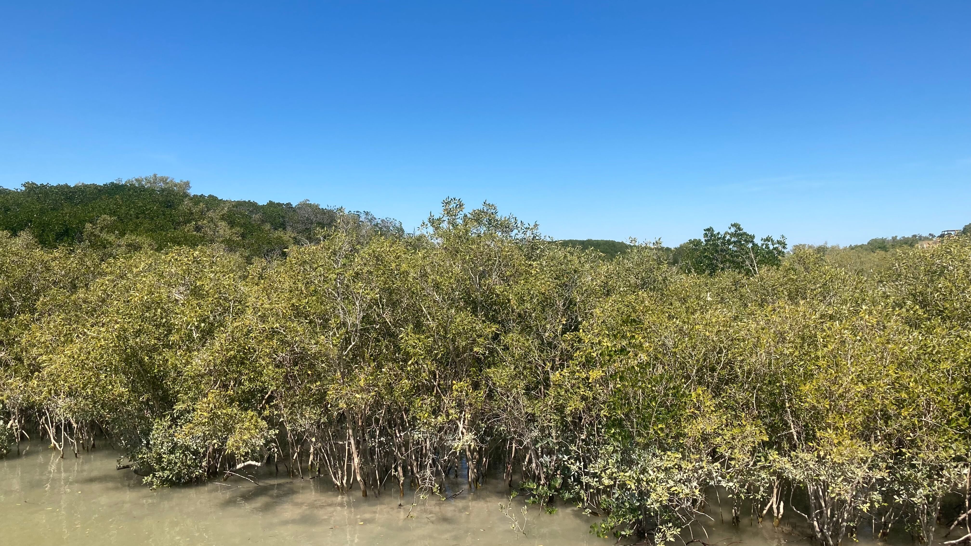 The Marshland