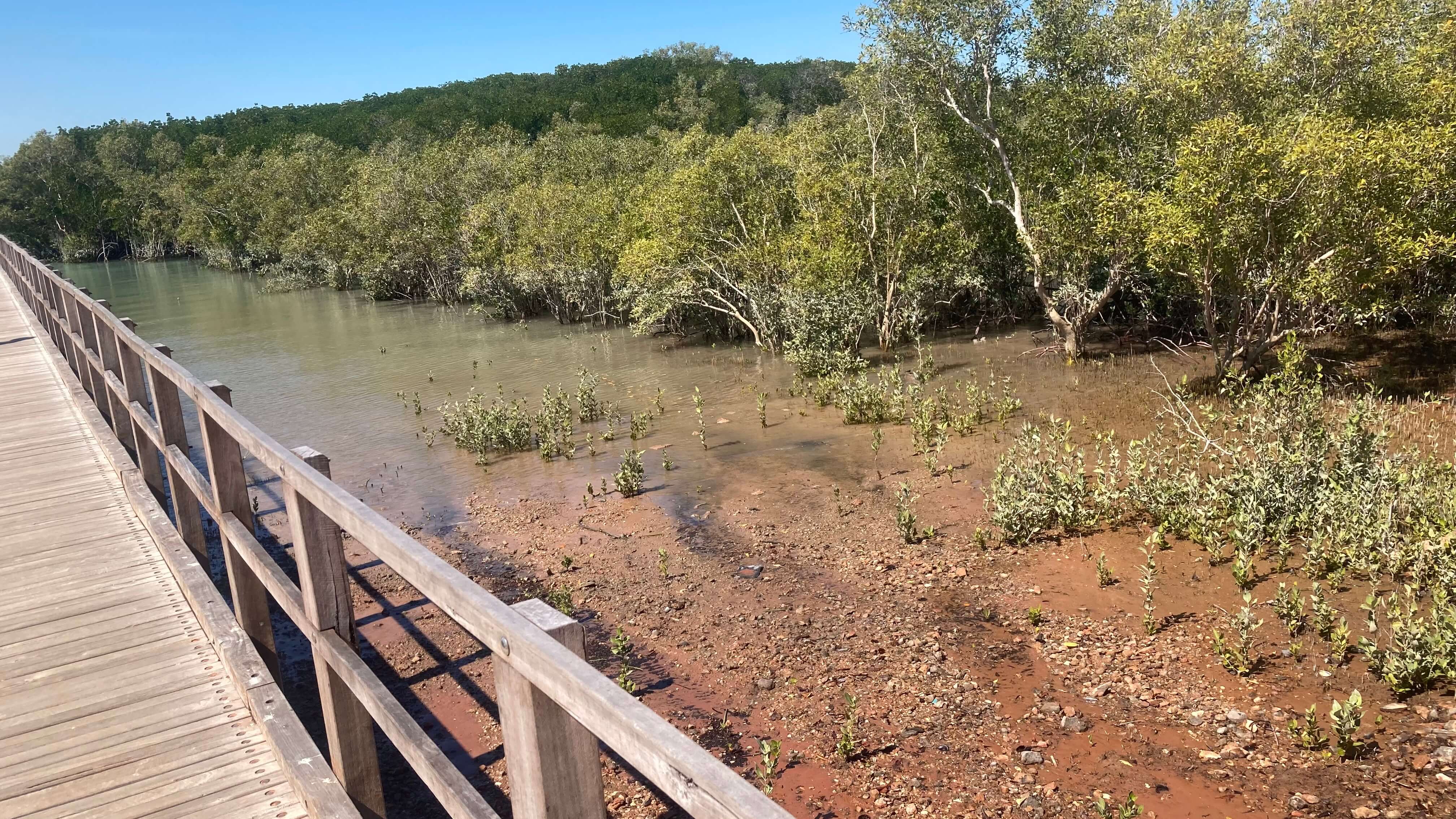 The Marshland