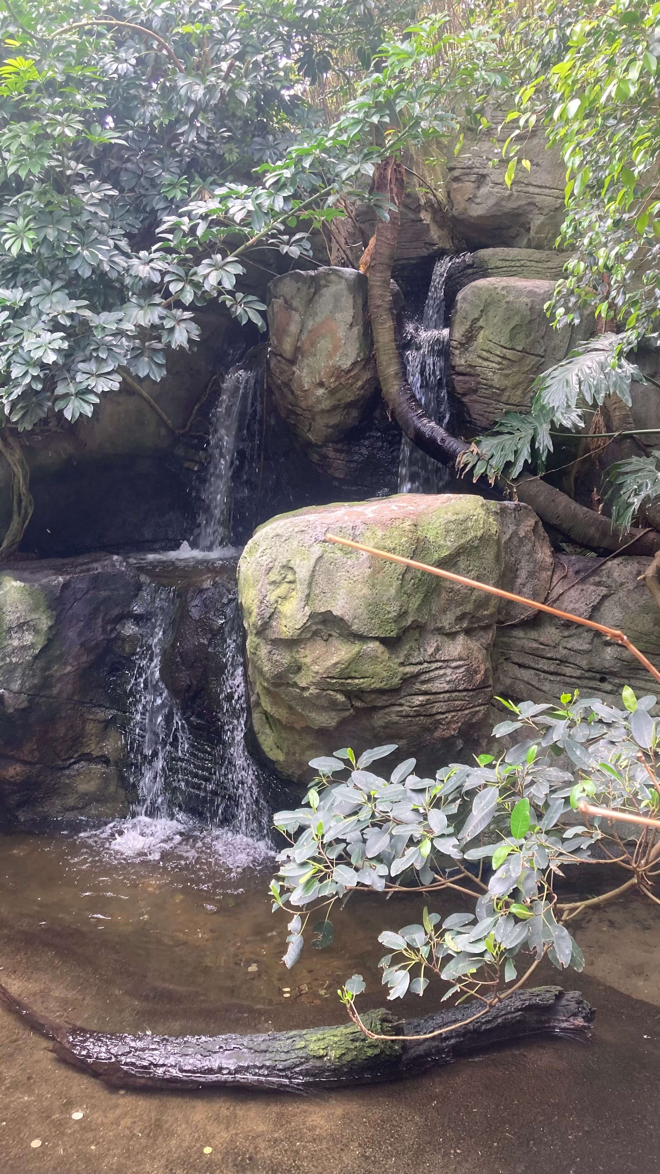 A Waterfall