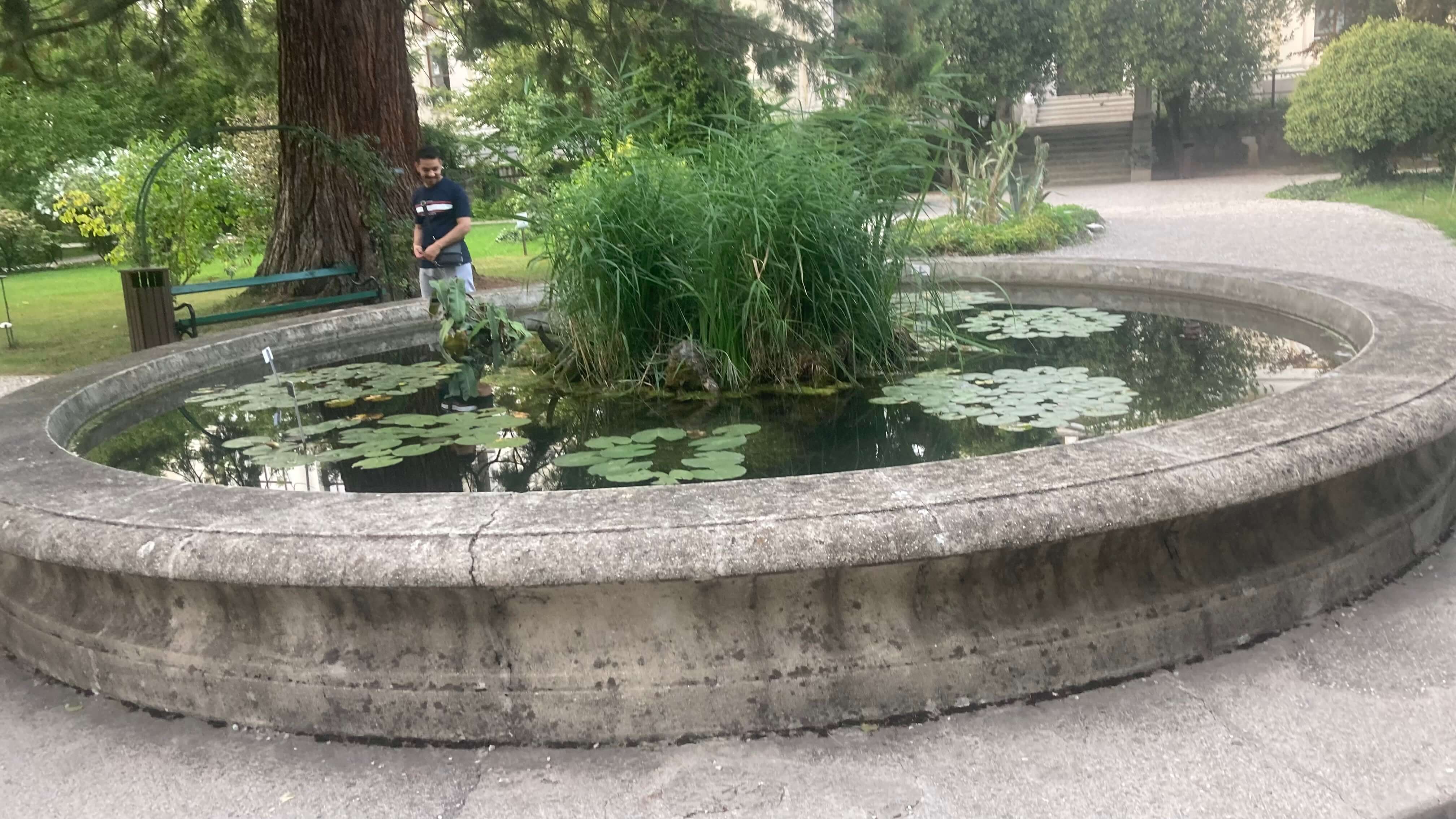 The Pond in the Courtyard