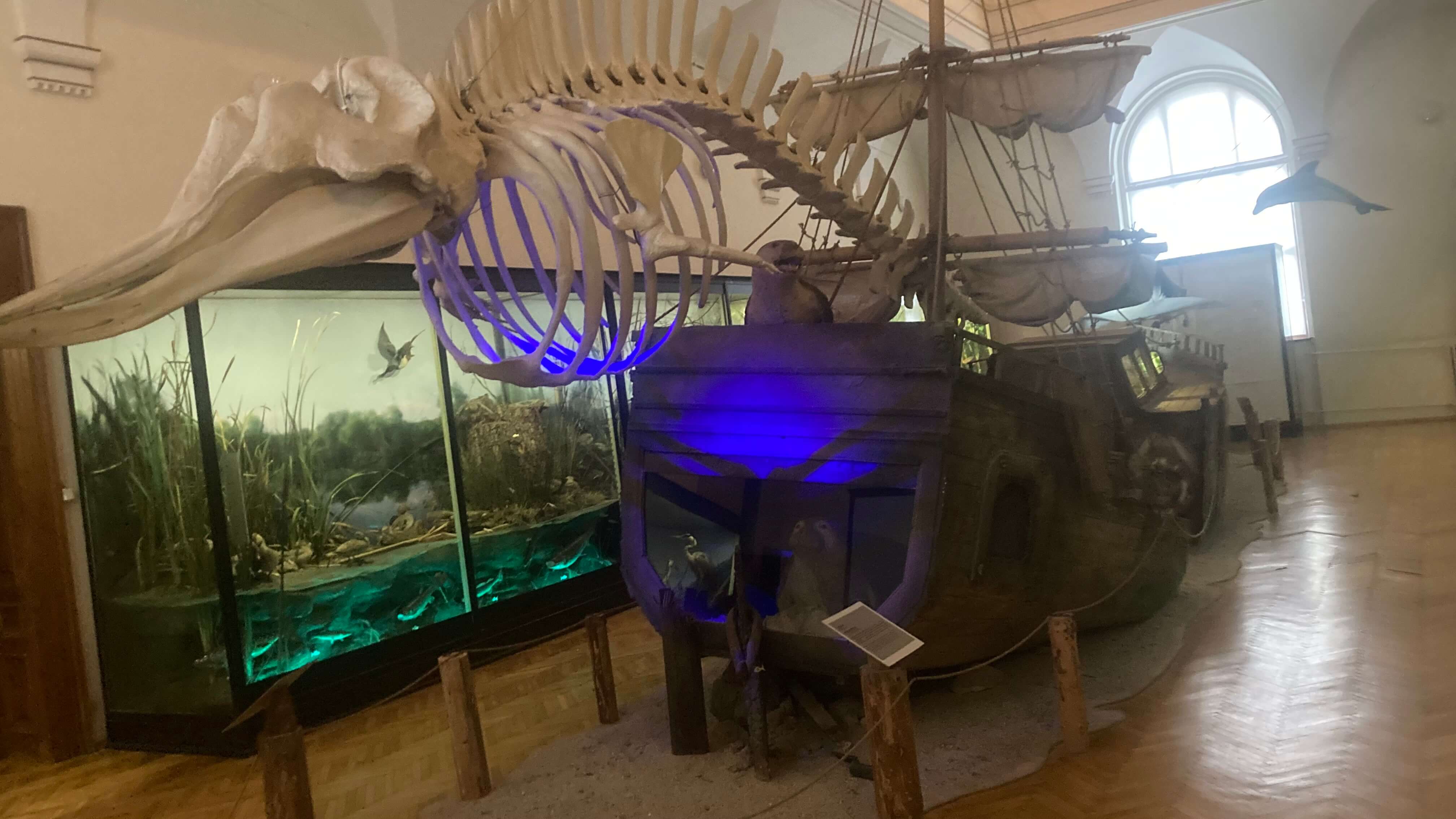 Giant Fossil Replica