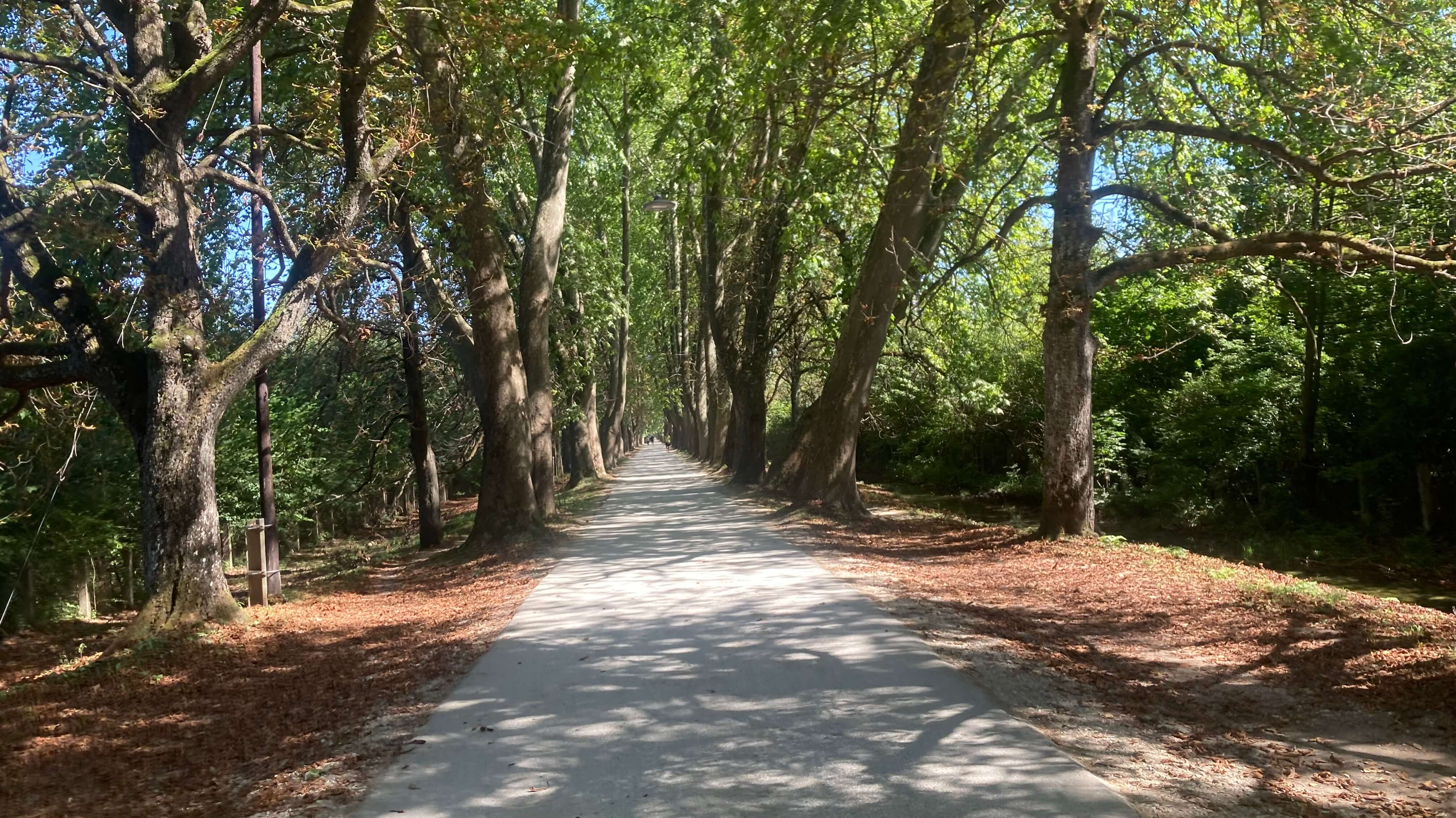 The Promenade