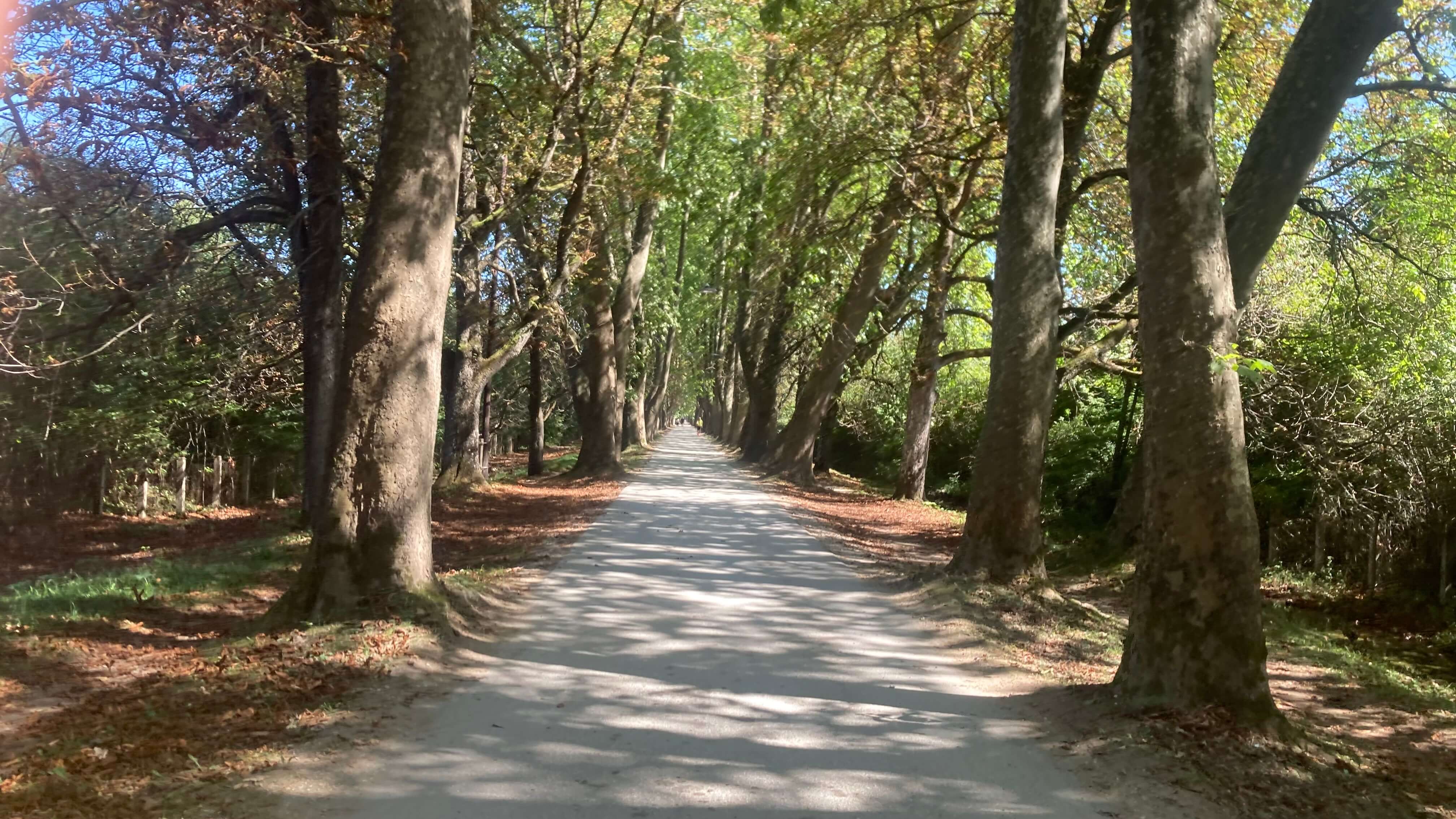 The Promenade