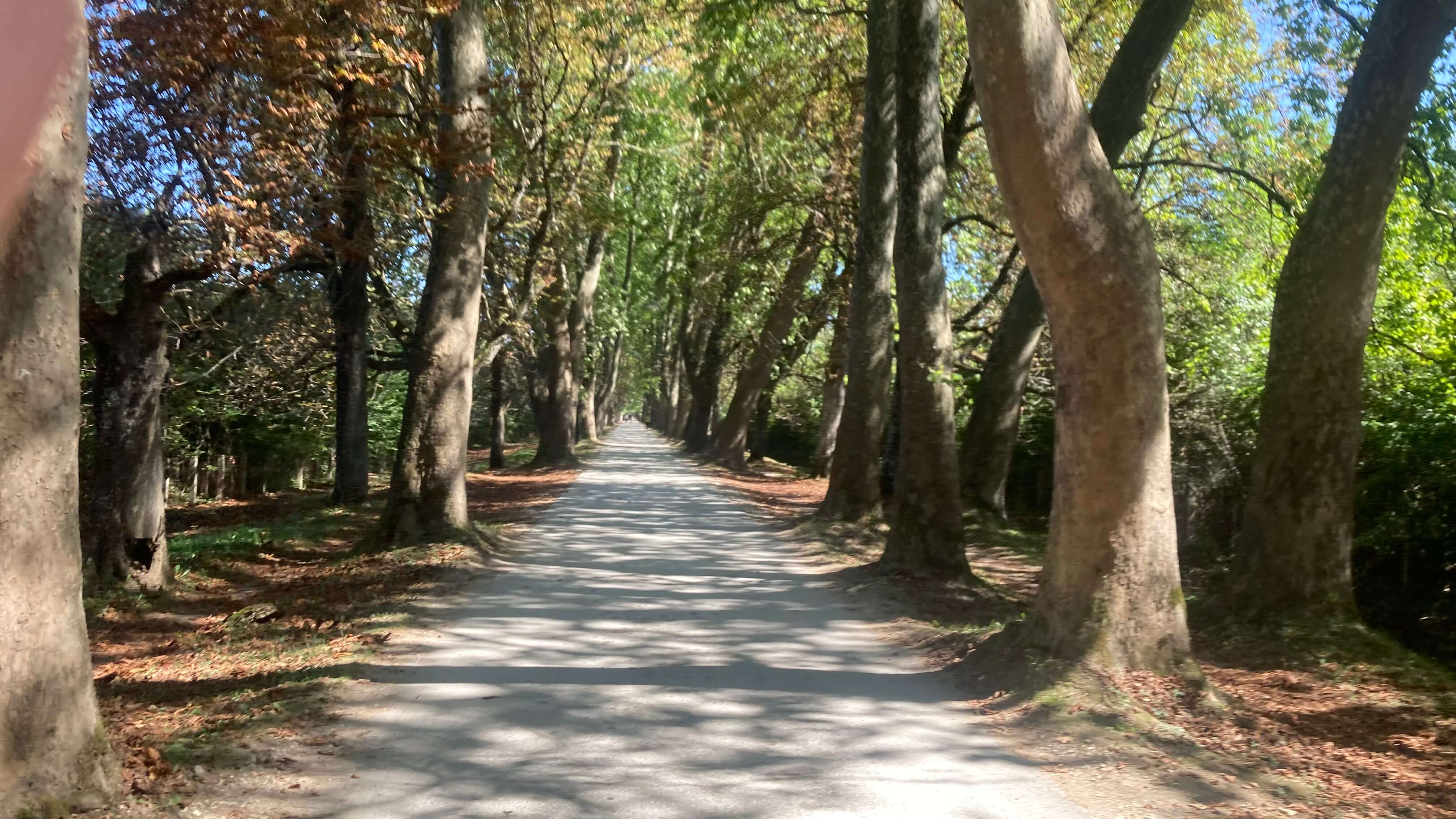 The Promenade