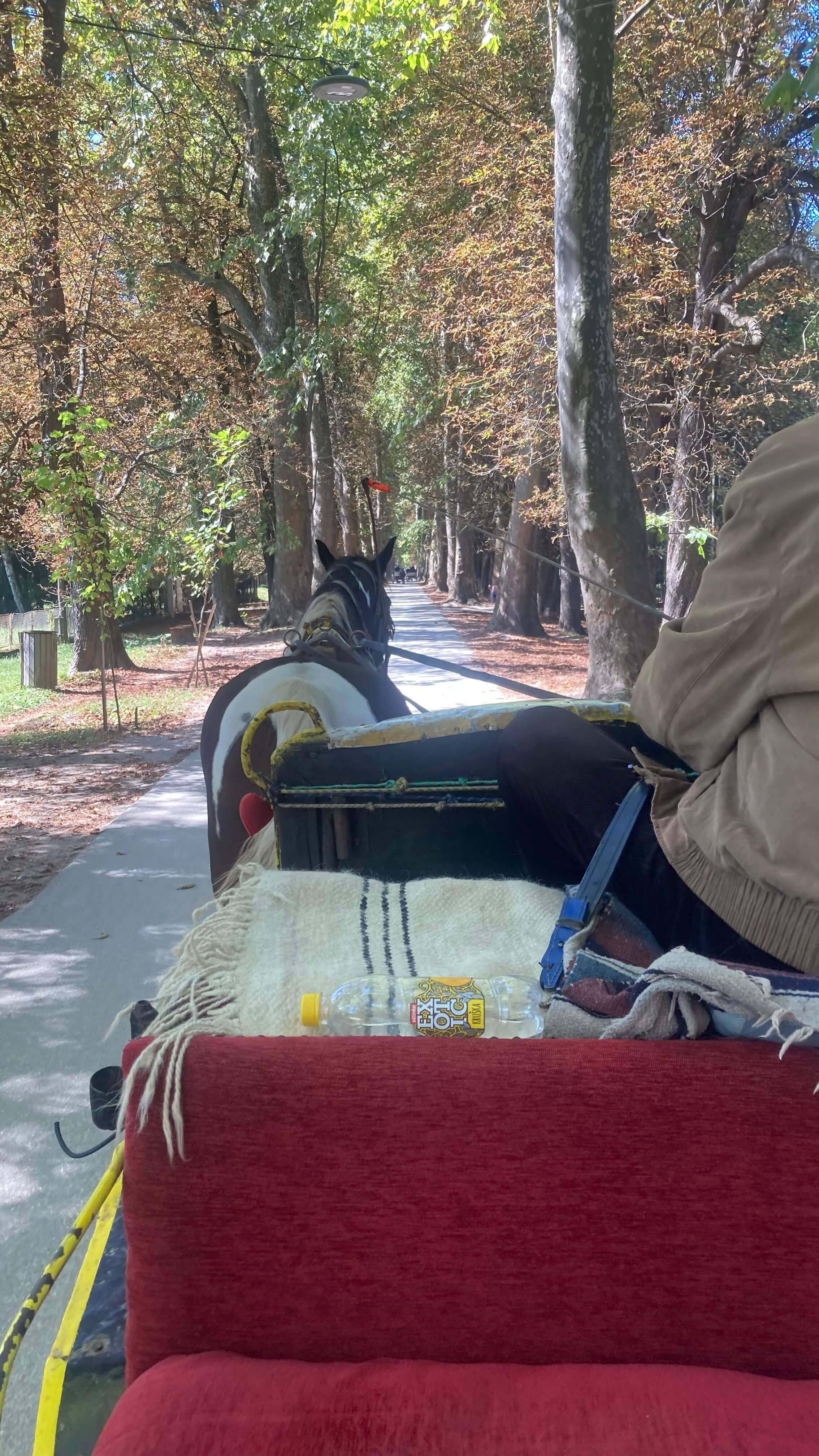 On the Horse
