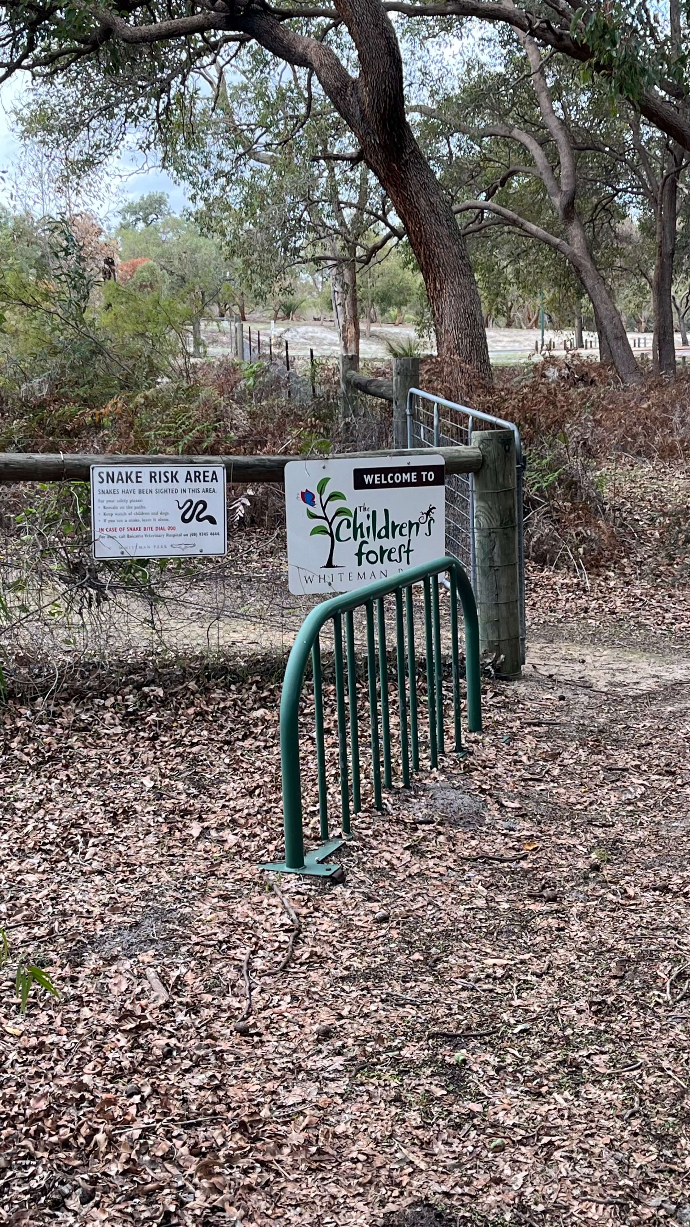Children's Forest Entrance